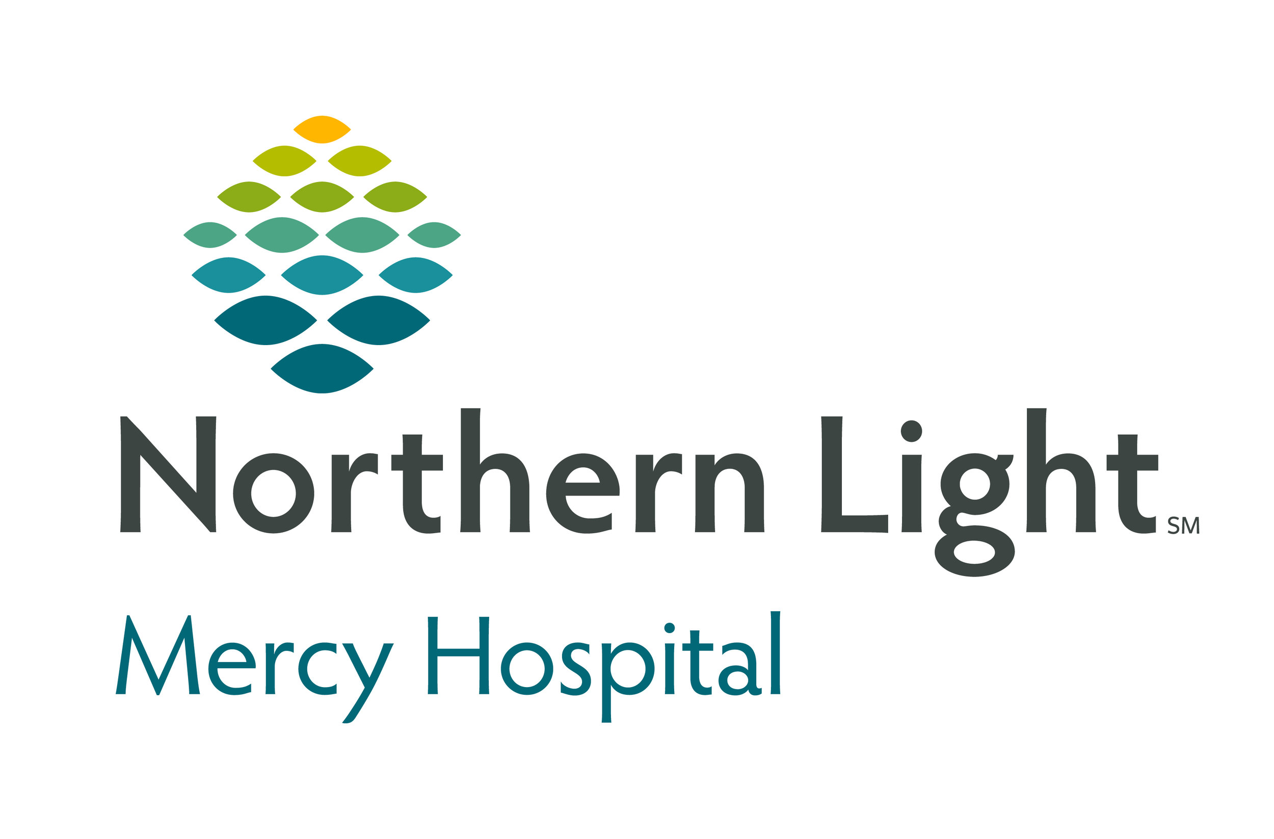 NL Mercy Hospital - logo - JPEG.jpg