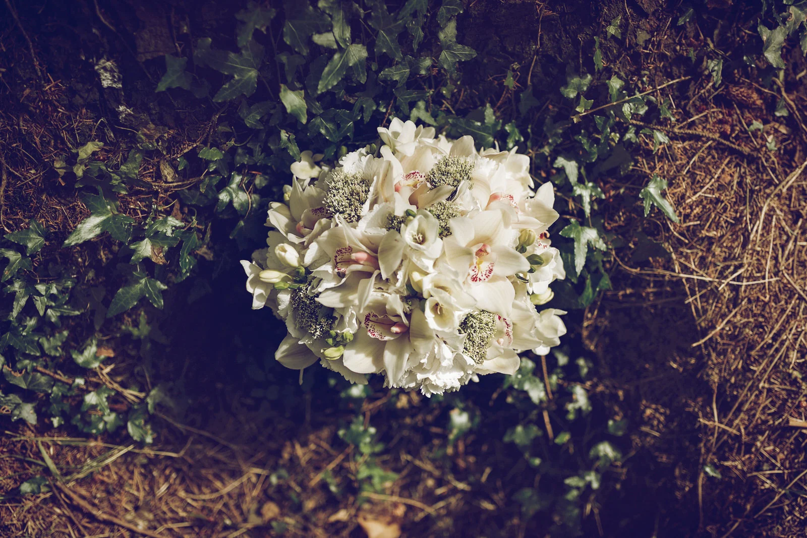 Brooklodge-wicklow-wedding-photographer_087.jpg
