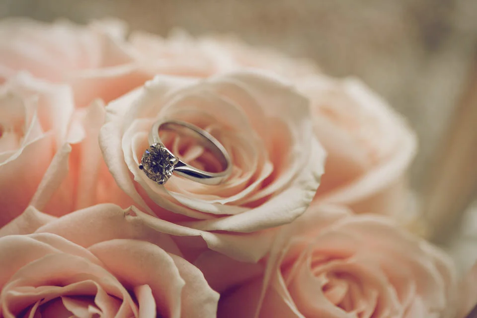 Wedding_Photographer_Delgany_Greystones_Luttrellstown_015.jpg