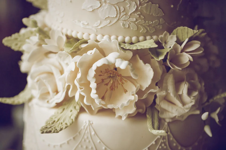 Wedding_Photographer_Delgany_Greystones_Luttrellstown_075.jpg