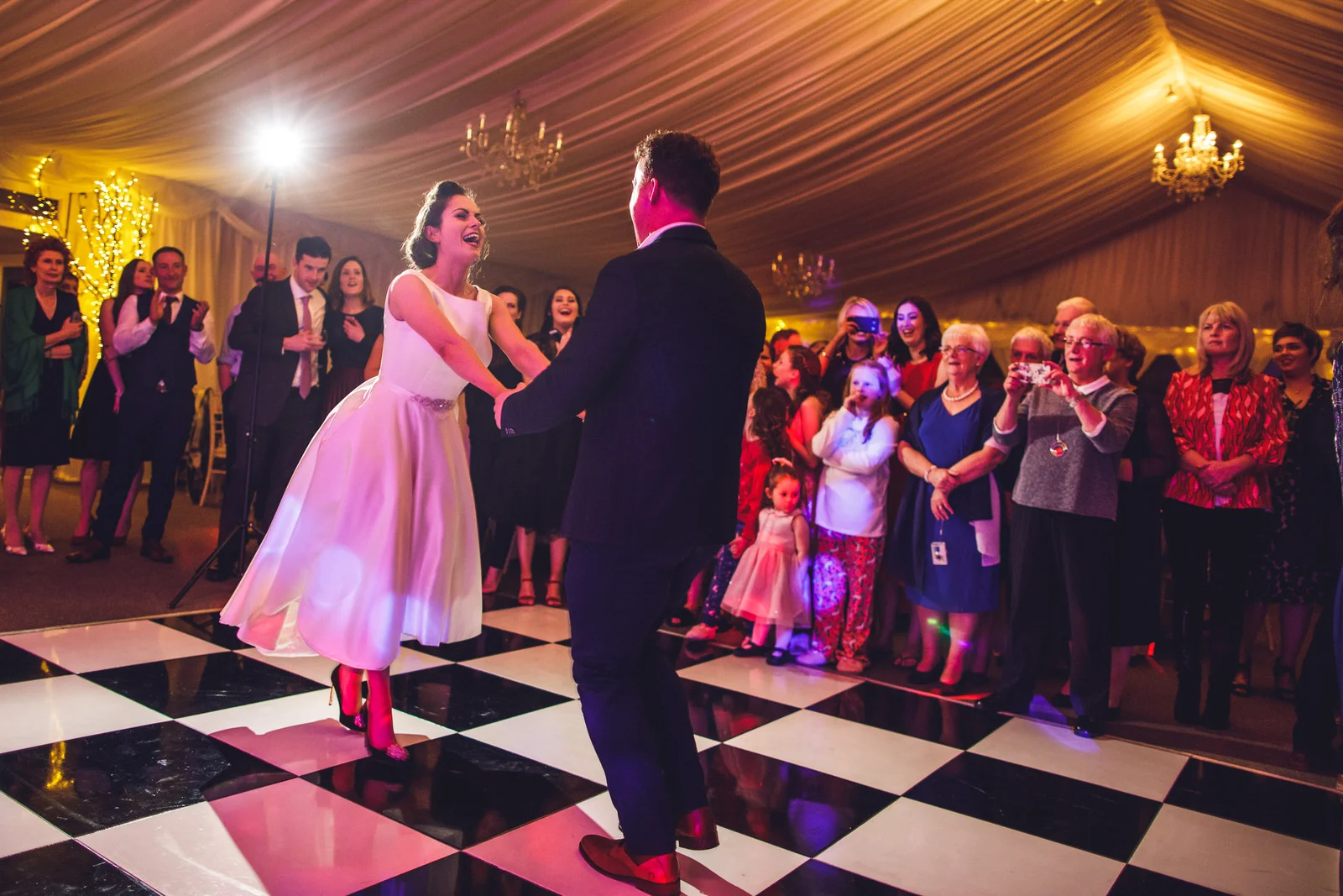 wicklow-wedding-photographer-roger-kenny-portrait-room-clonabreaney-house_214.jpg
