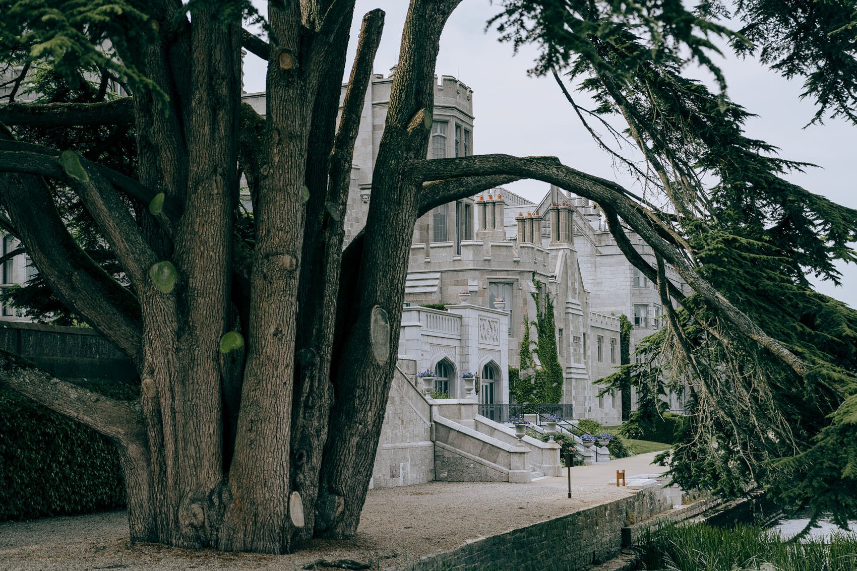 Adare_Manor_wedding_photography_portraitroom-0006.jpg