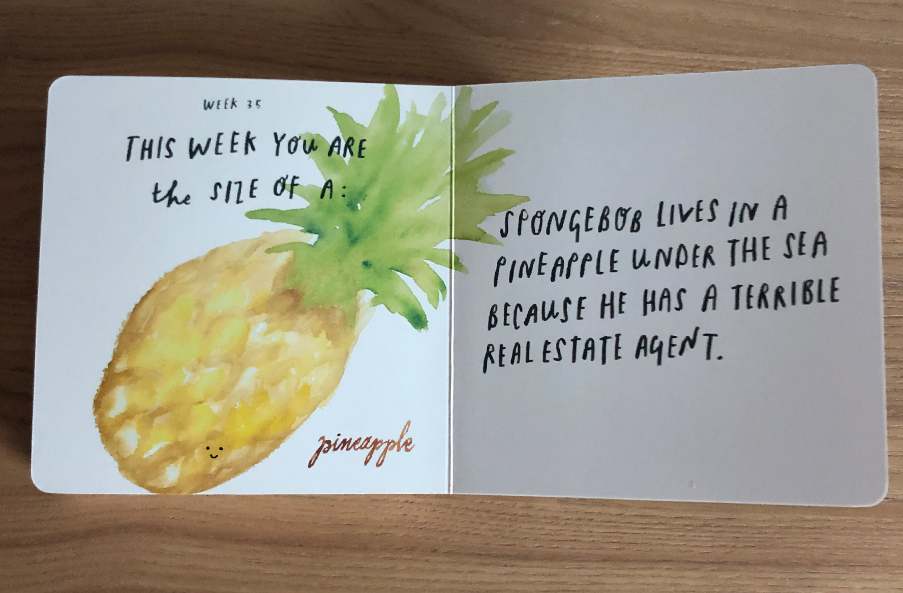 book_0002_pineapple.jpg