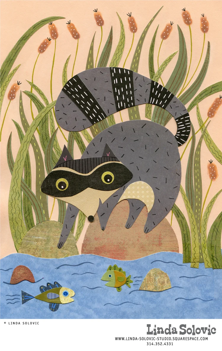 LSolovic Raccoon and Fish Web LG NEW 72dpi.jpg