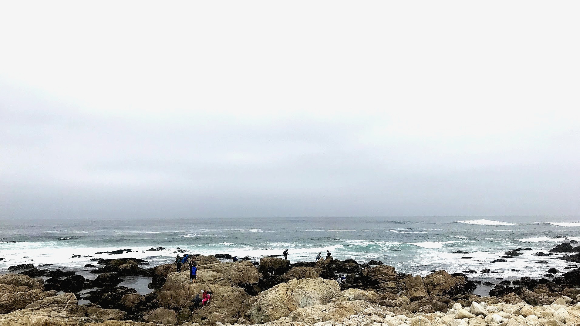 Water%2BTidepools%2B3.jpg