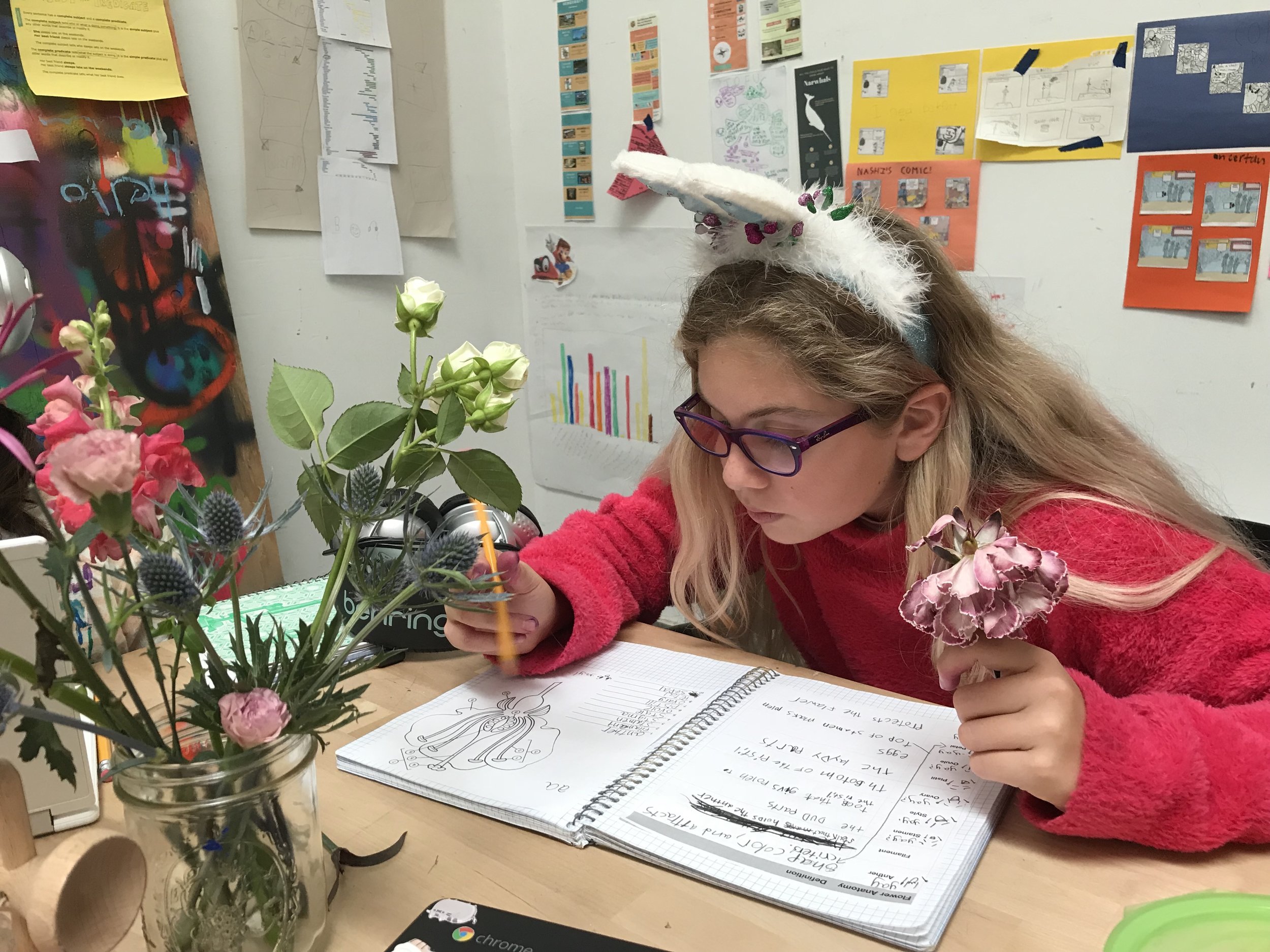 Studying plants & photosynthesis