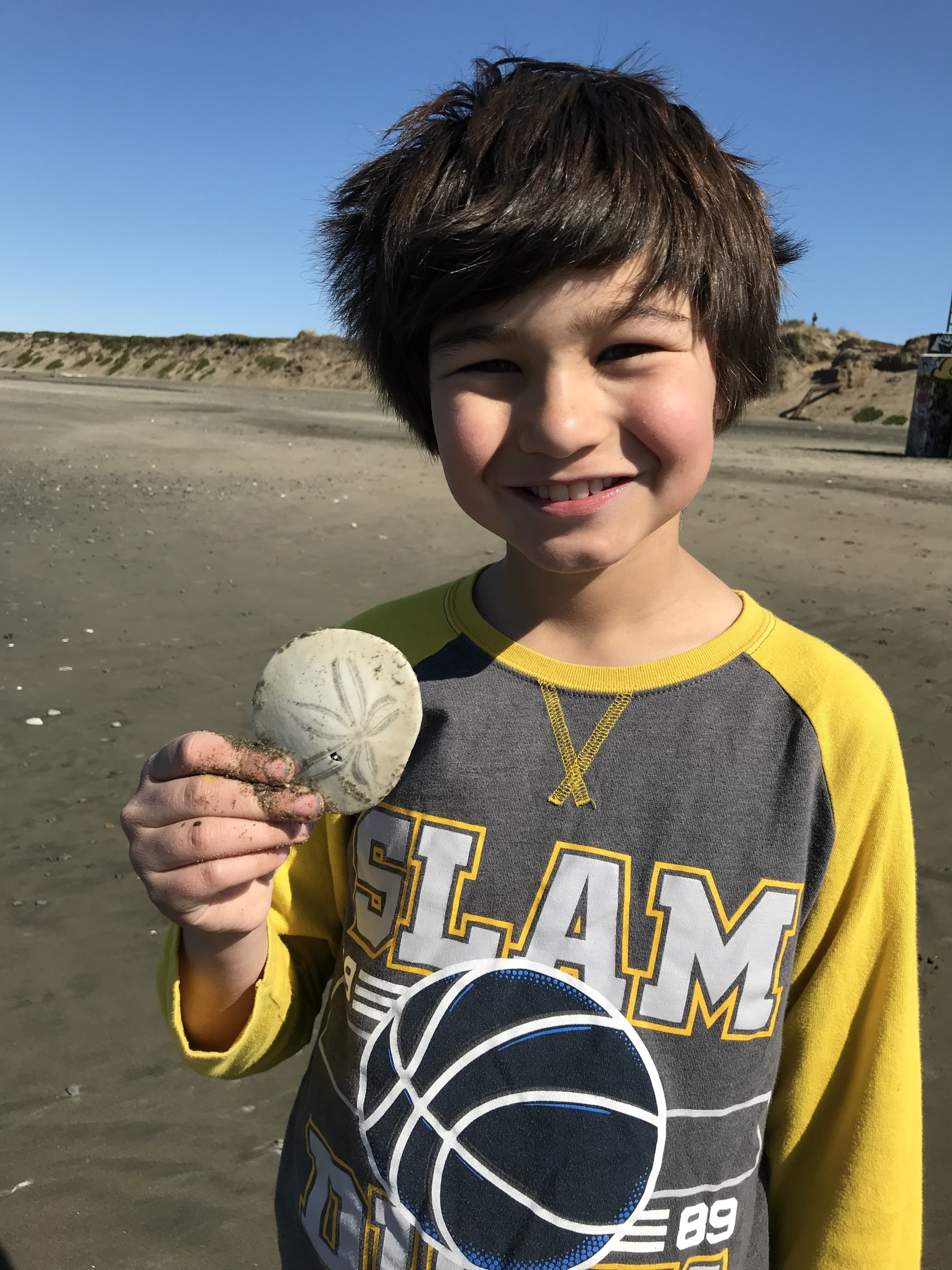 Collecting specimen at the beach