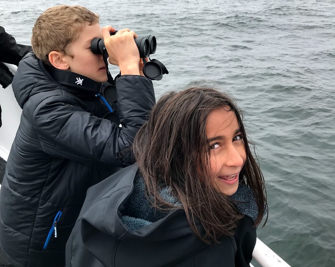 Whale watching