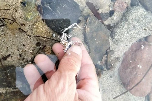 Tarpaulin fabric is NOT allowed