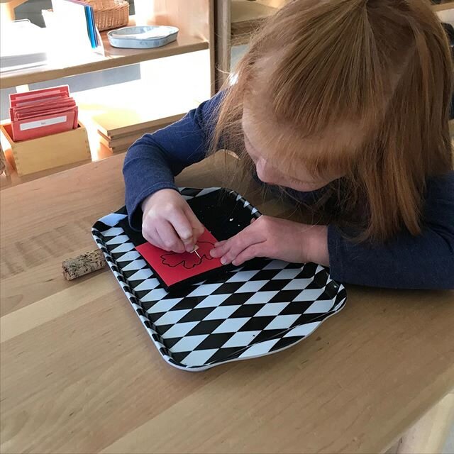 Pin pricking activities help children build up their fine motor skills. The stronger their fine motor skills, the easier it will be for them to manipulate and control a range of materials and tools, like pencils, scissors, brushes, etc.

#montessori 