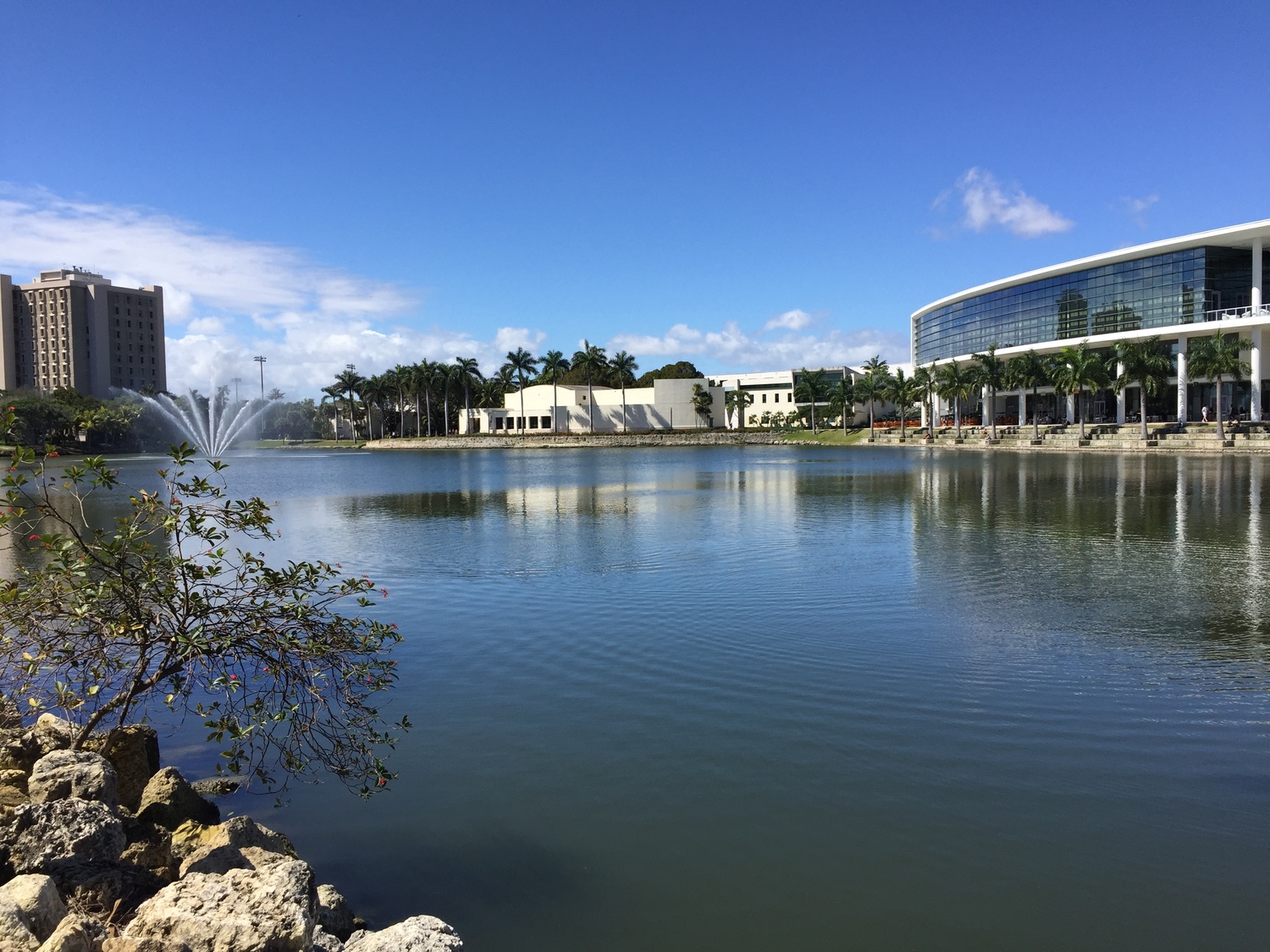 Univ+of+Miami.jpg