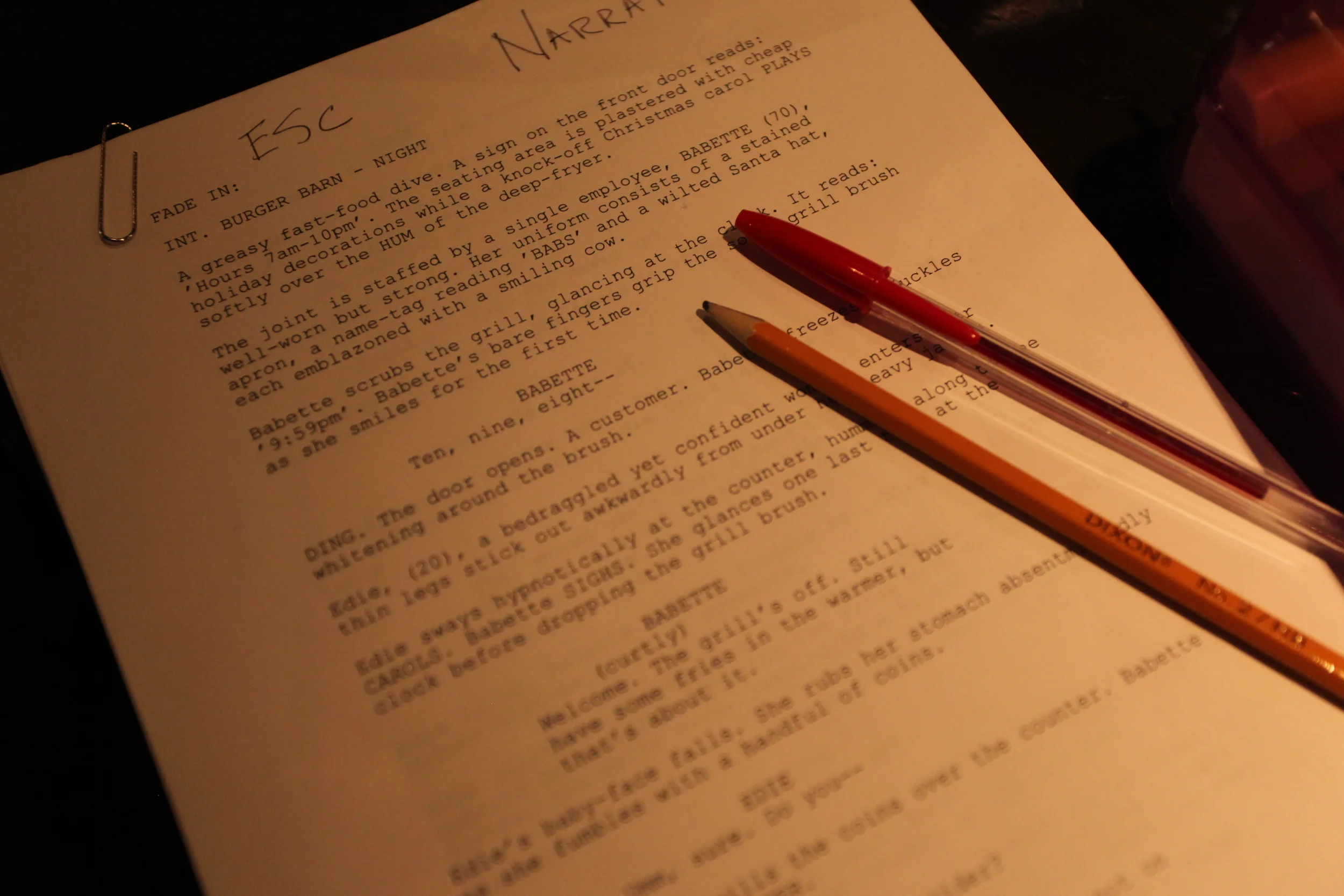 Script Image IMG_9913.JPG