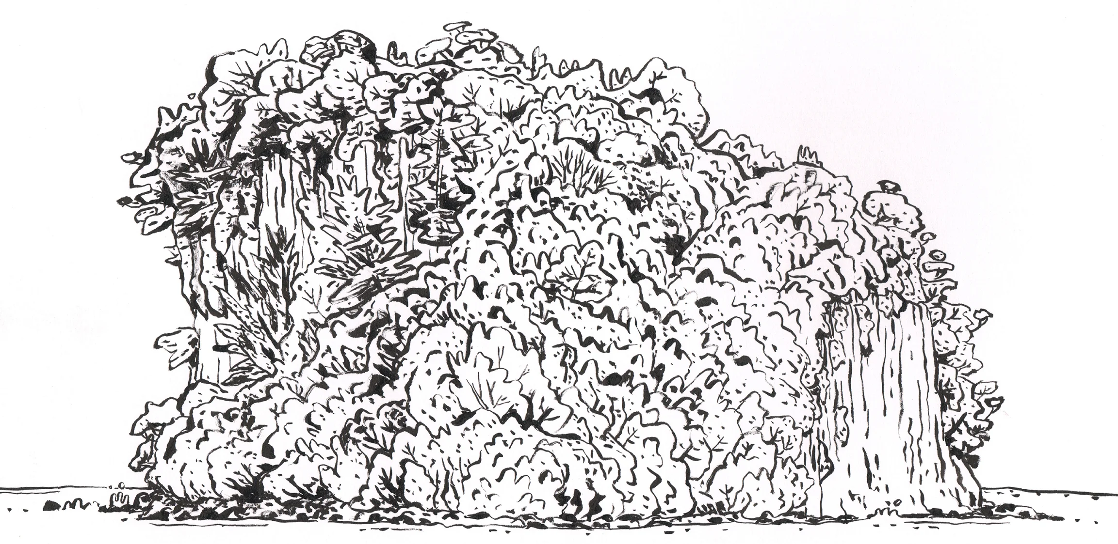 Wagamata, Ink on Paper, 14" x 11", 2015