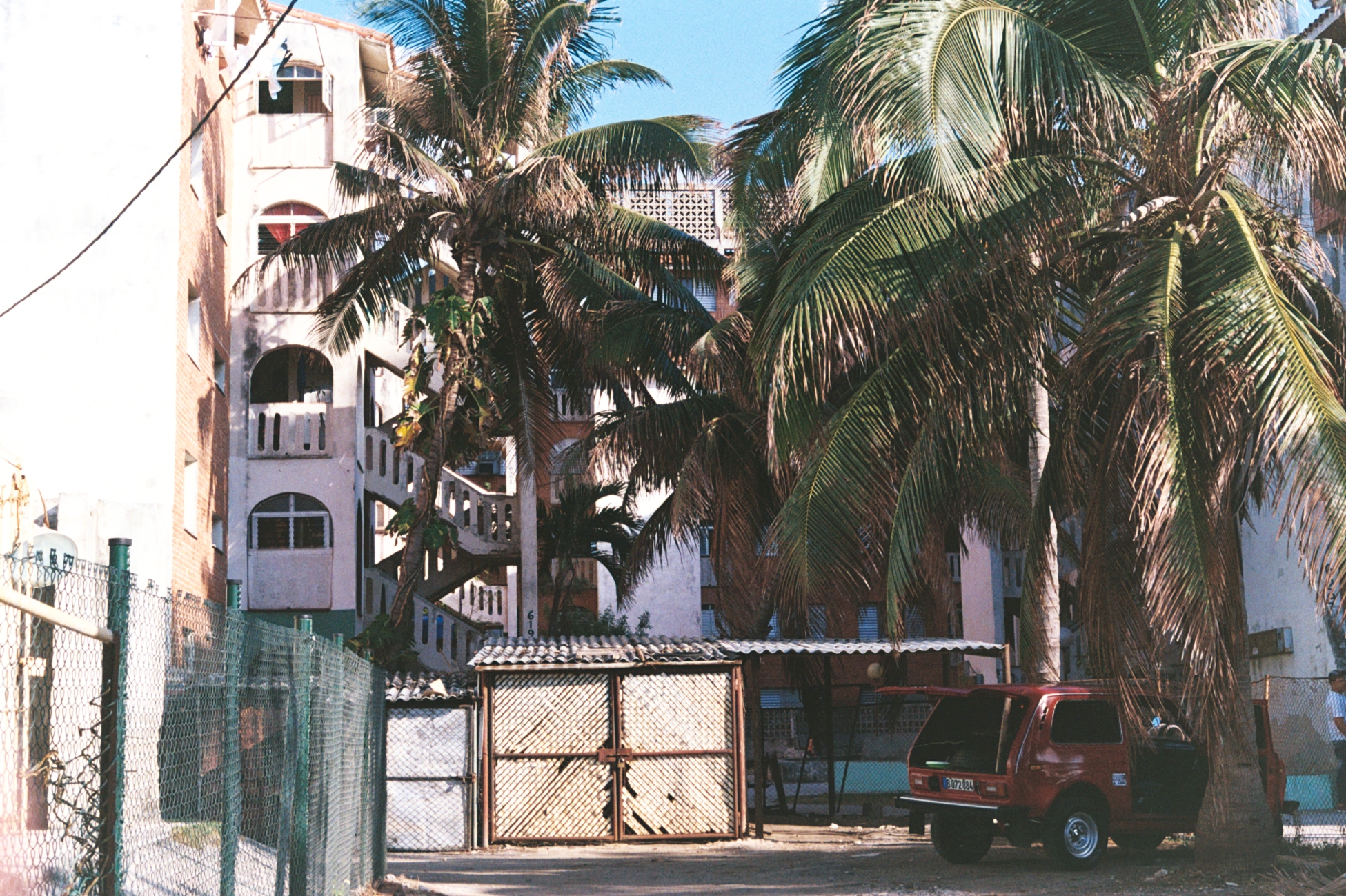 White_SAA010.jpg