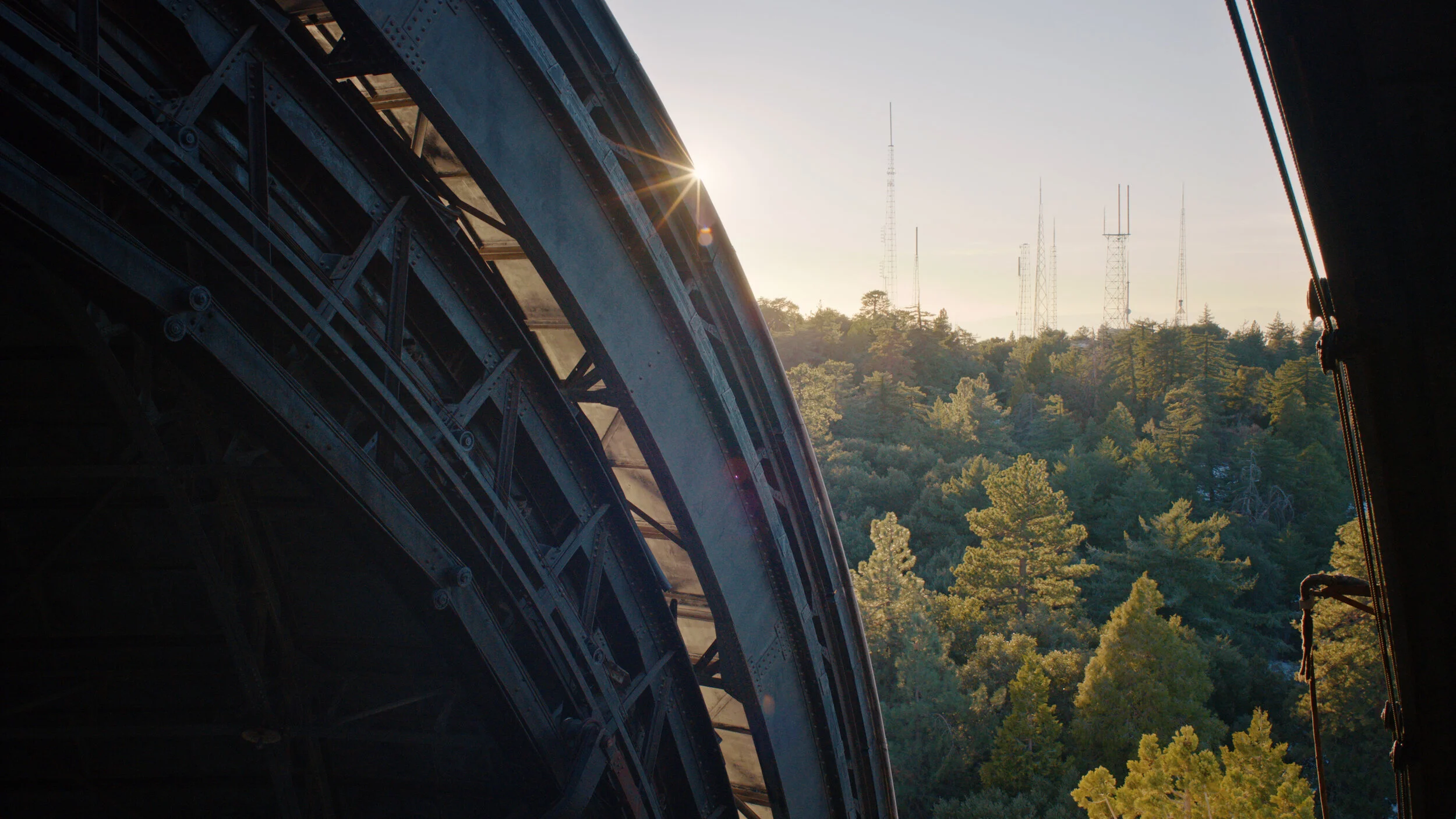 REESE COOPER: "PYROPHYTE" PFW AW 2021 RUNWAY SHOW