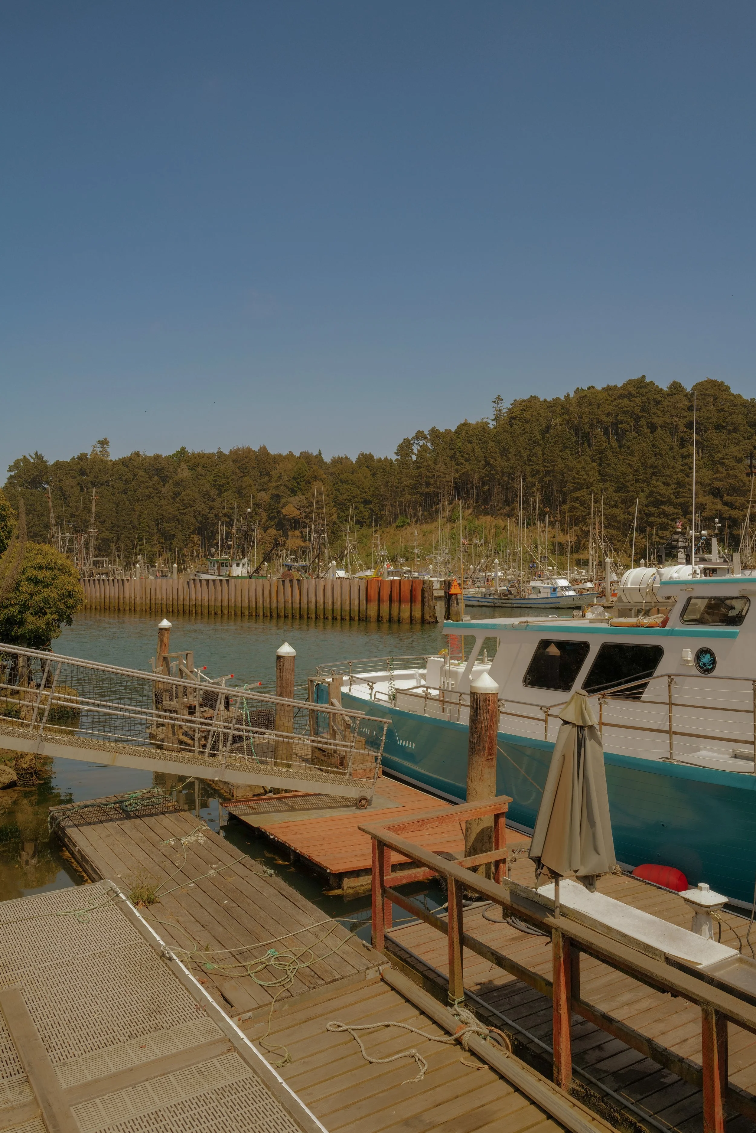 L1010184.JPG