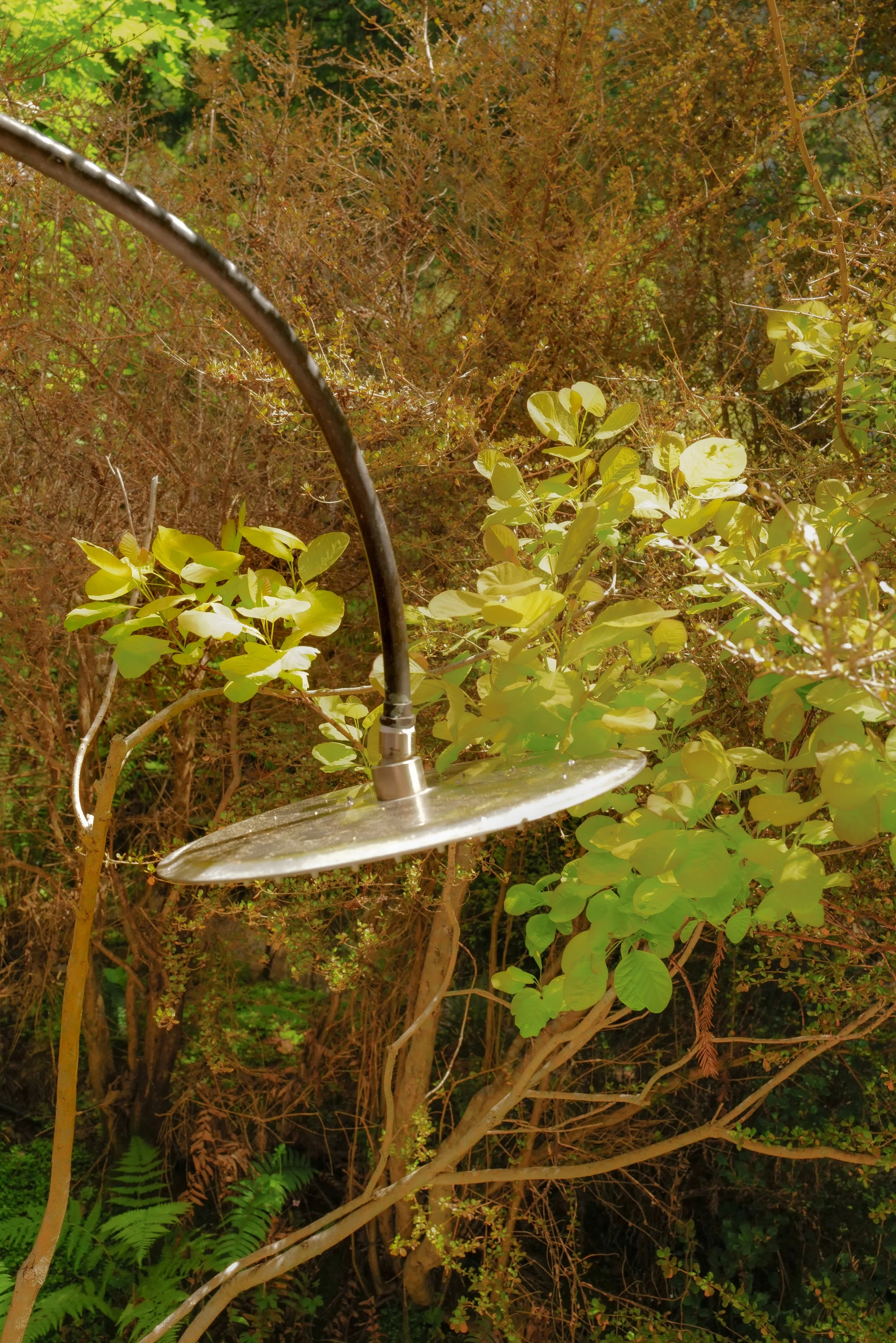 L1010313.JPG
