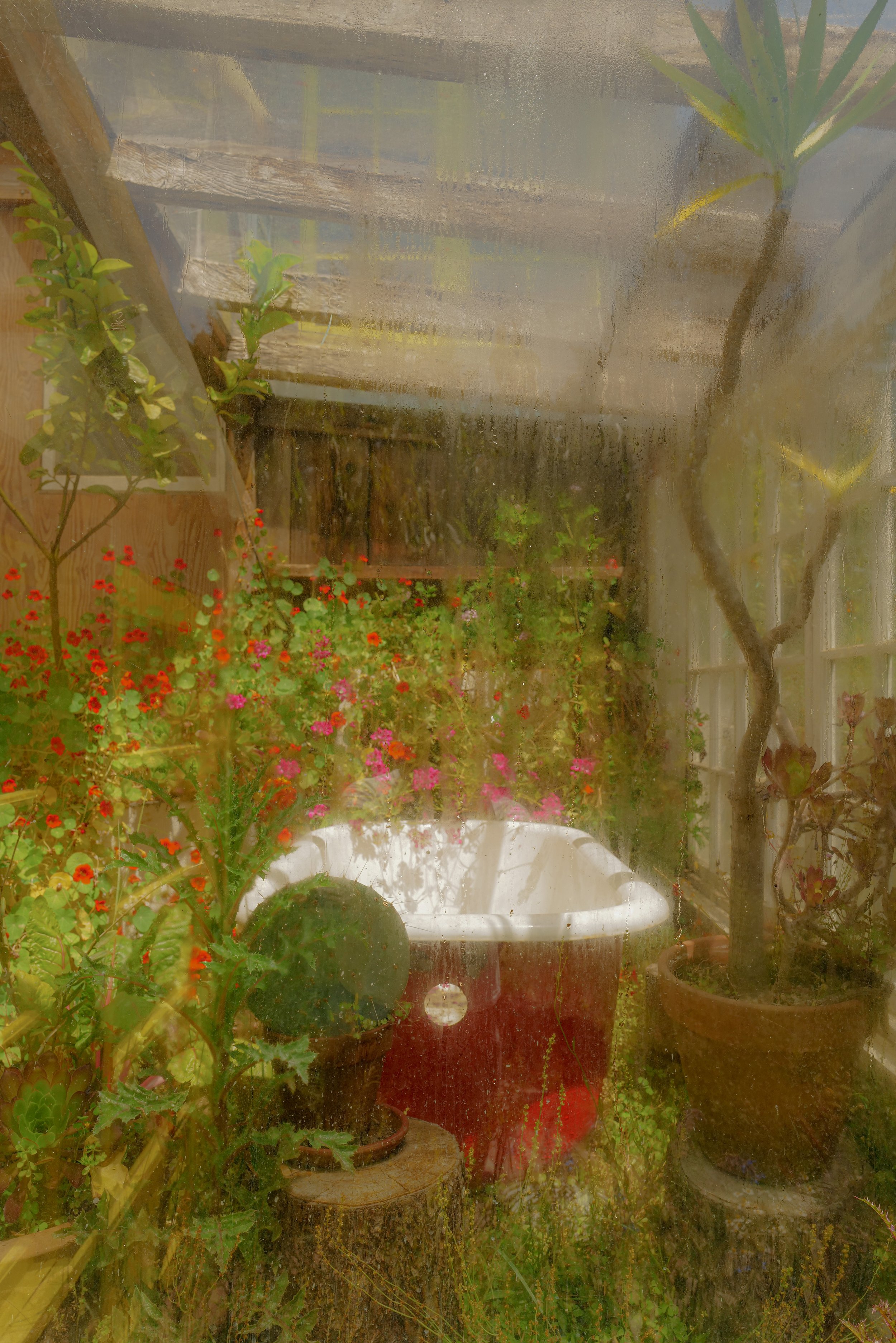 L1010323.JPG