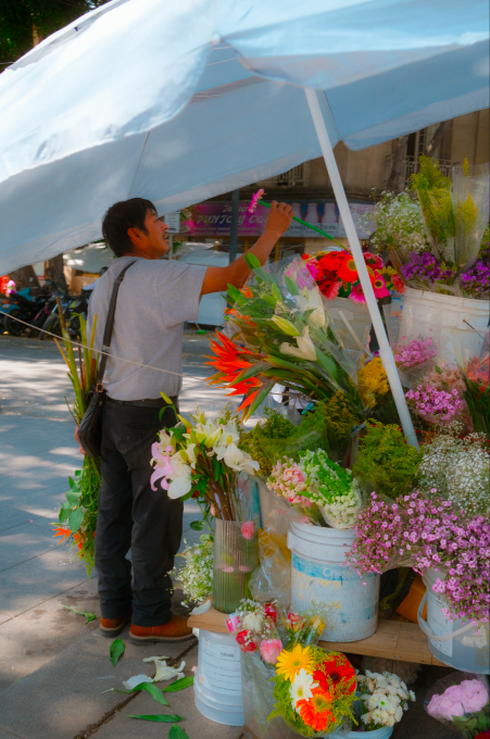 Screen Shot 2024-04-19 at 10.40.02 AM.png