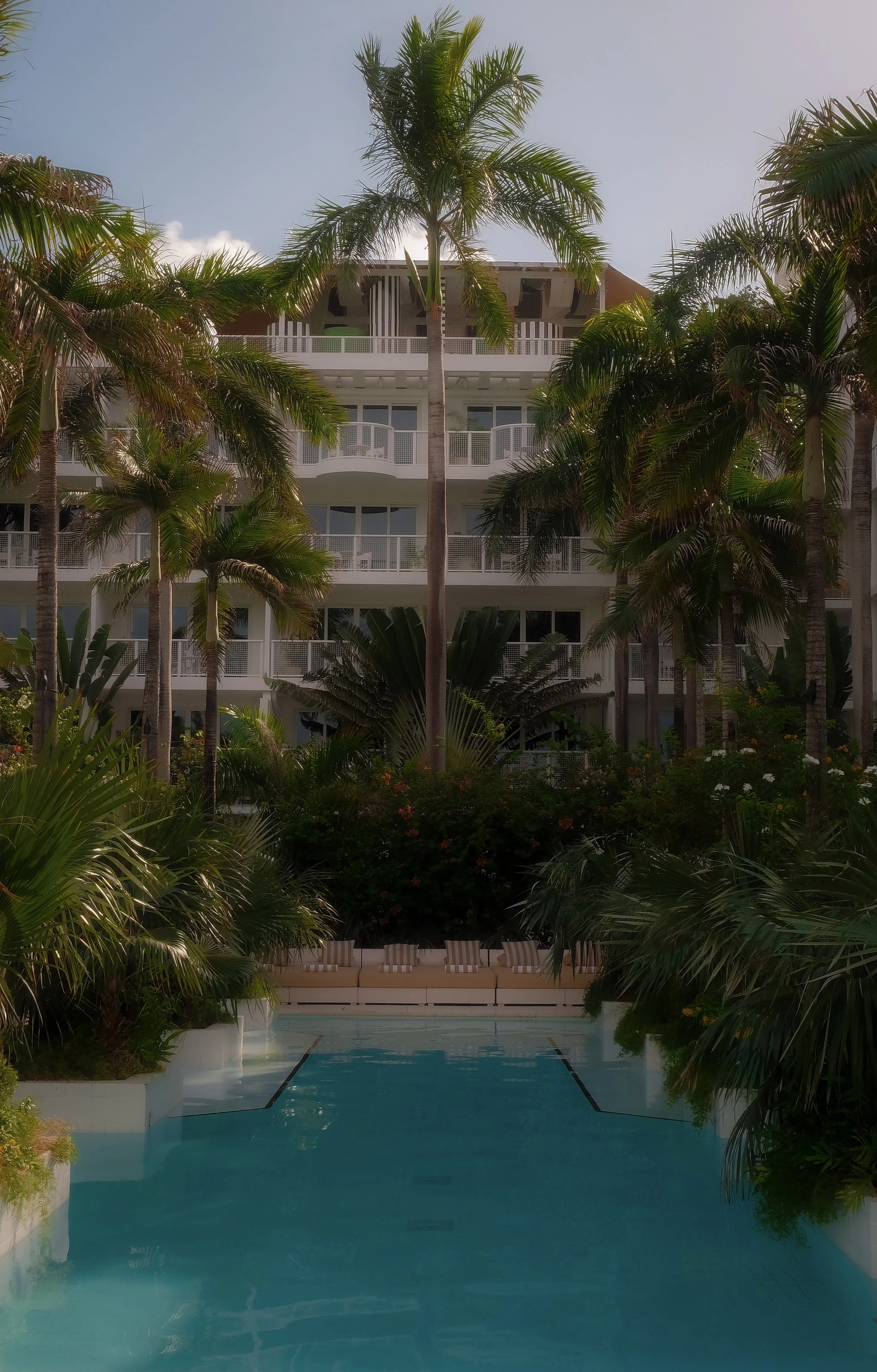 DSCF4133.jpg