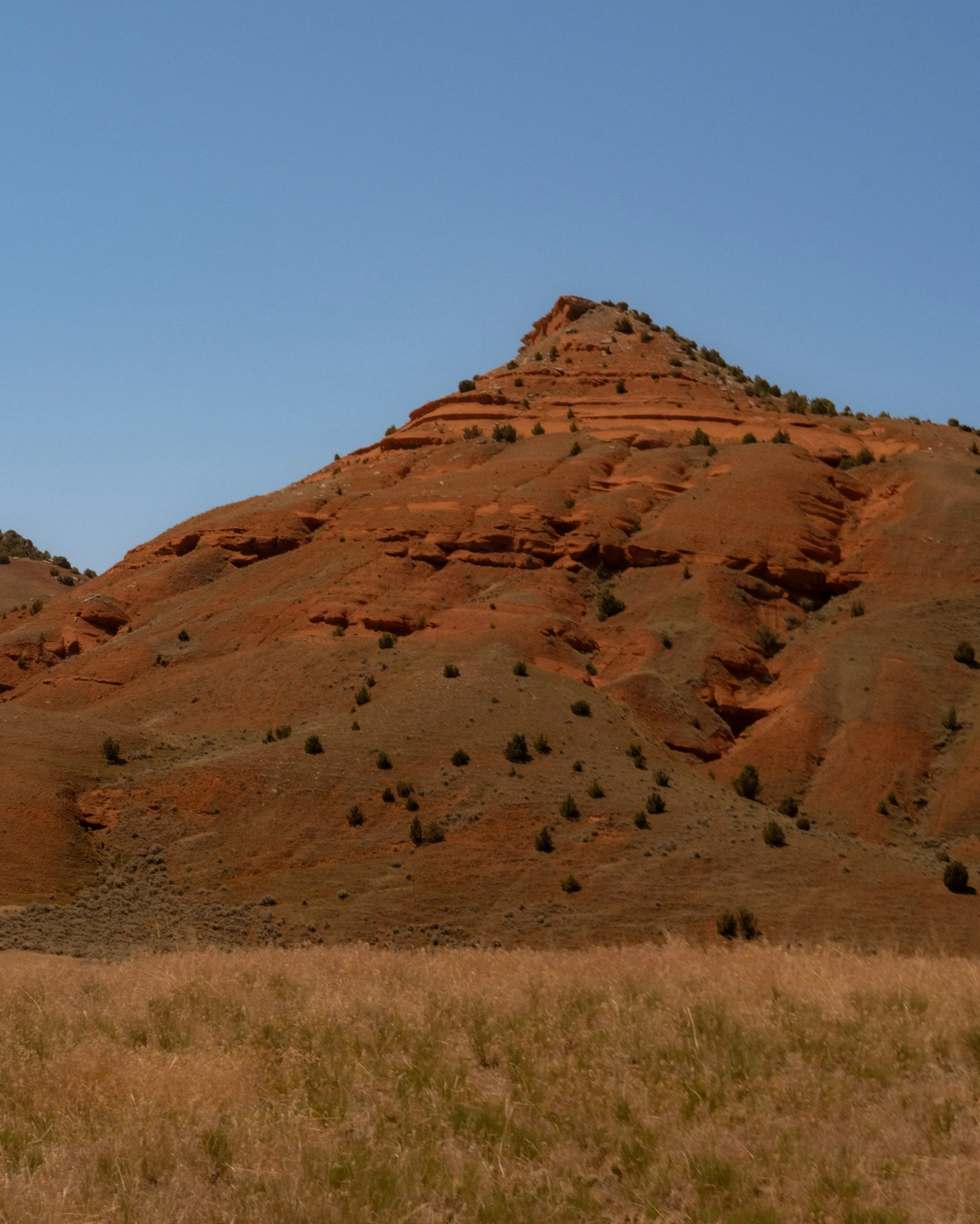 DSCF7352.jpg