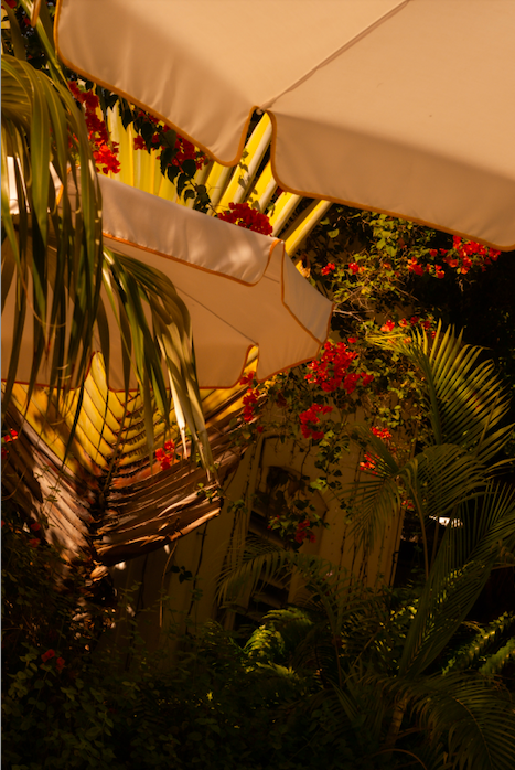 Screen Shot 2026-03-23 at 12.04.19 PM.png