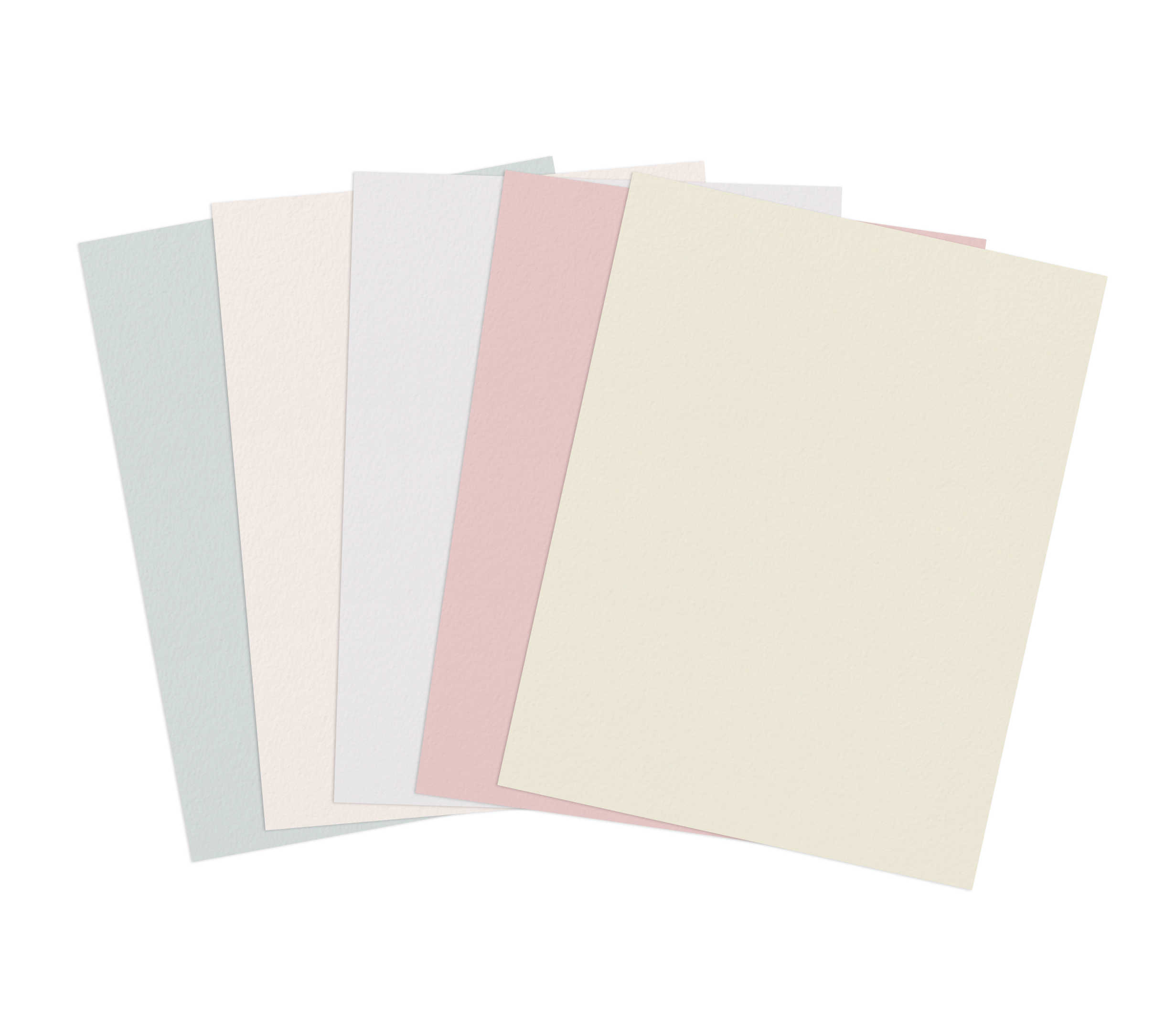Custom Portrait Backdrop Color options for Brittani Rose Paper Custom Portraits