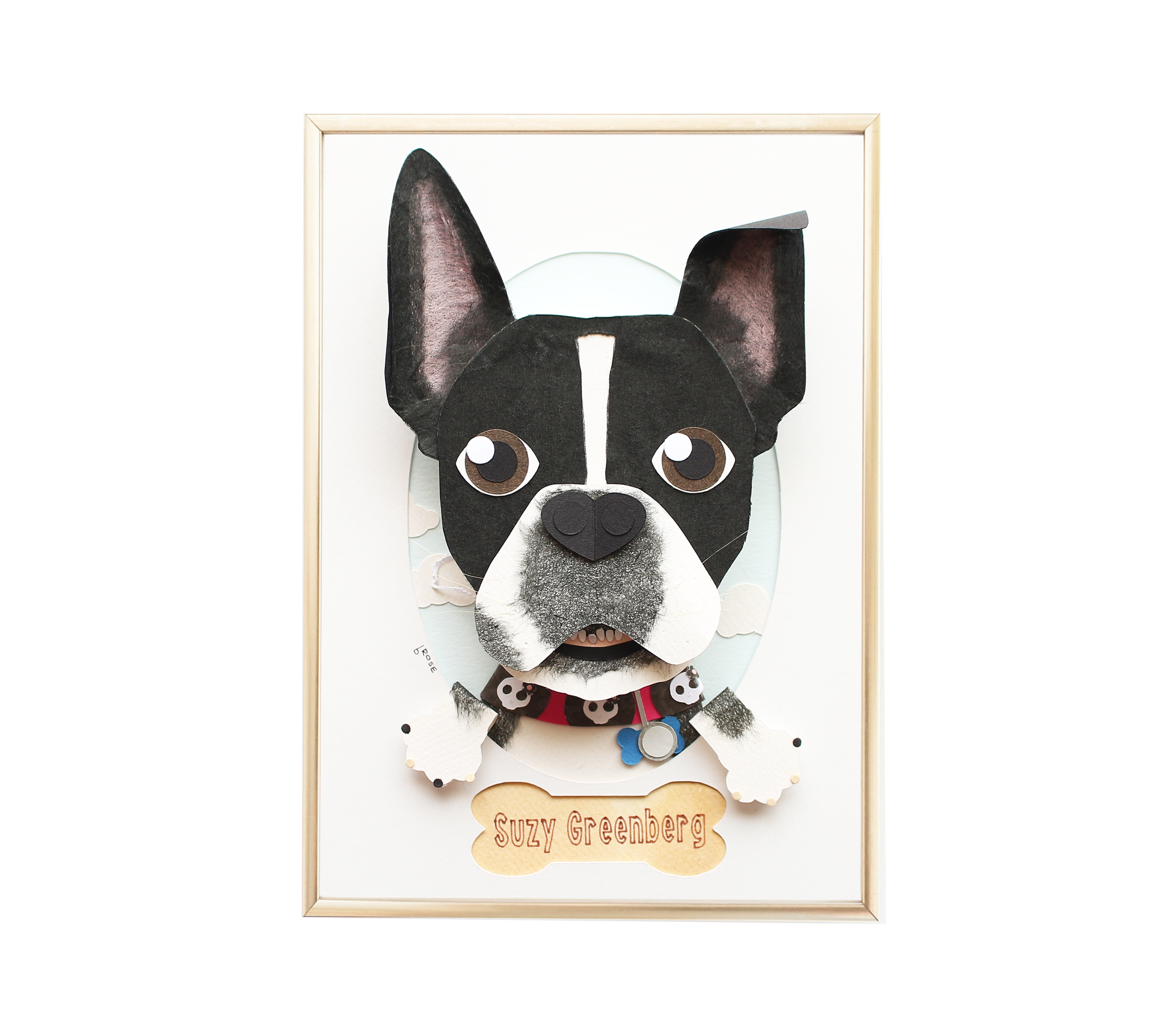 BostonTerrierportrait1.png