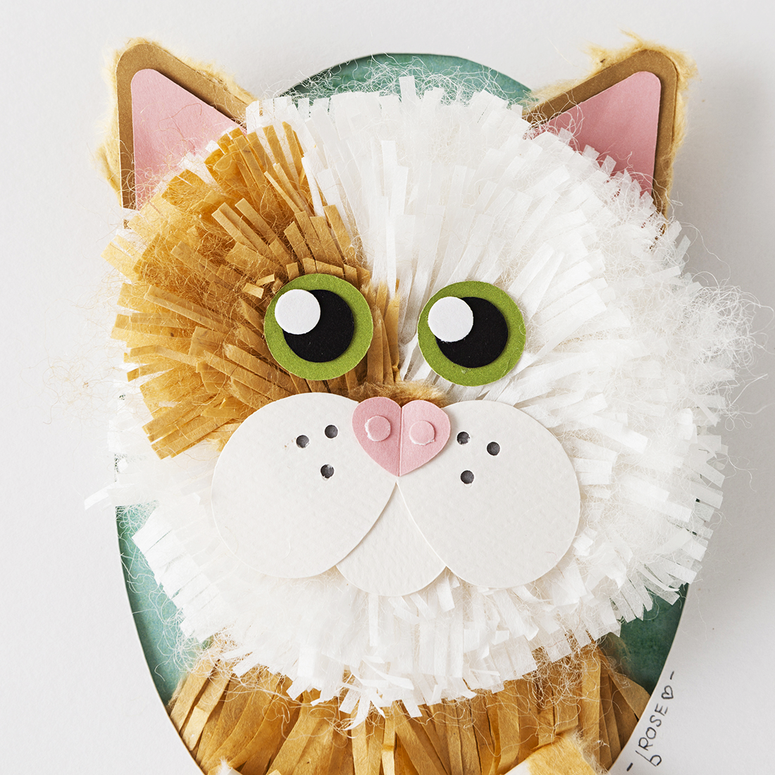 catclose.png