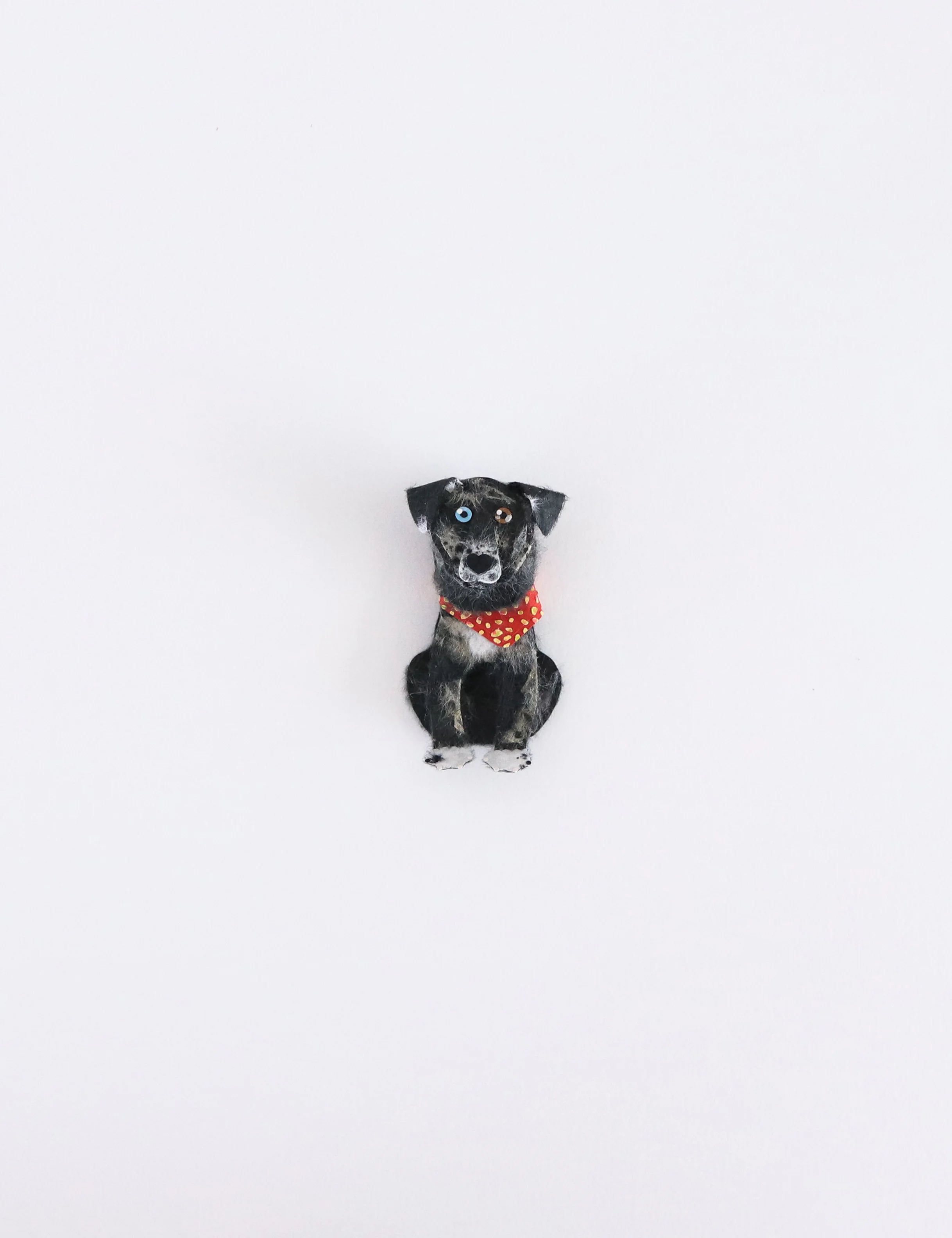 dog portrait2.jpg