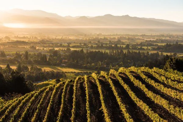 Image: Visit Napa.com