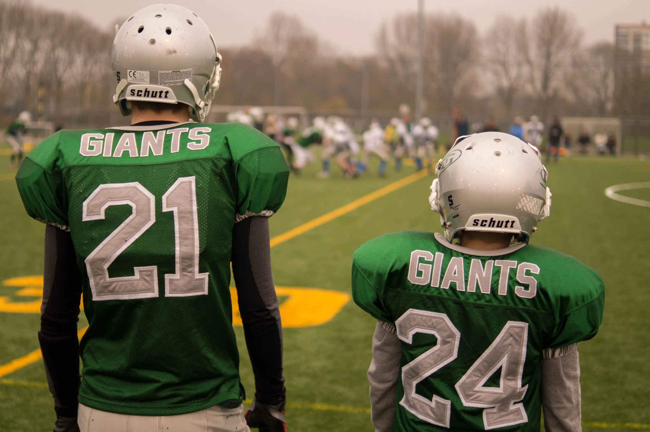 StockSnap_21503D358D.jpg