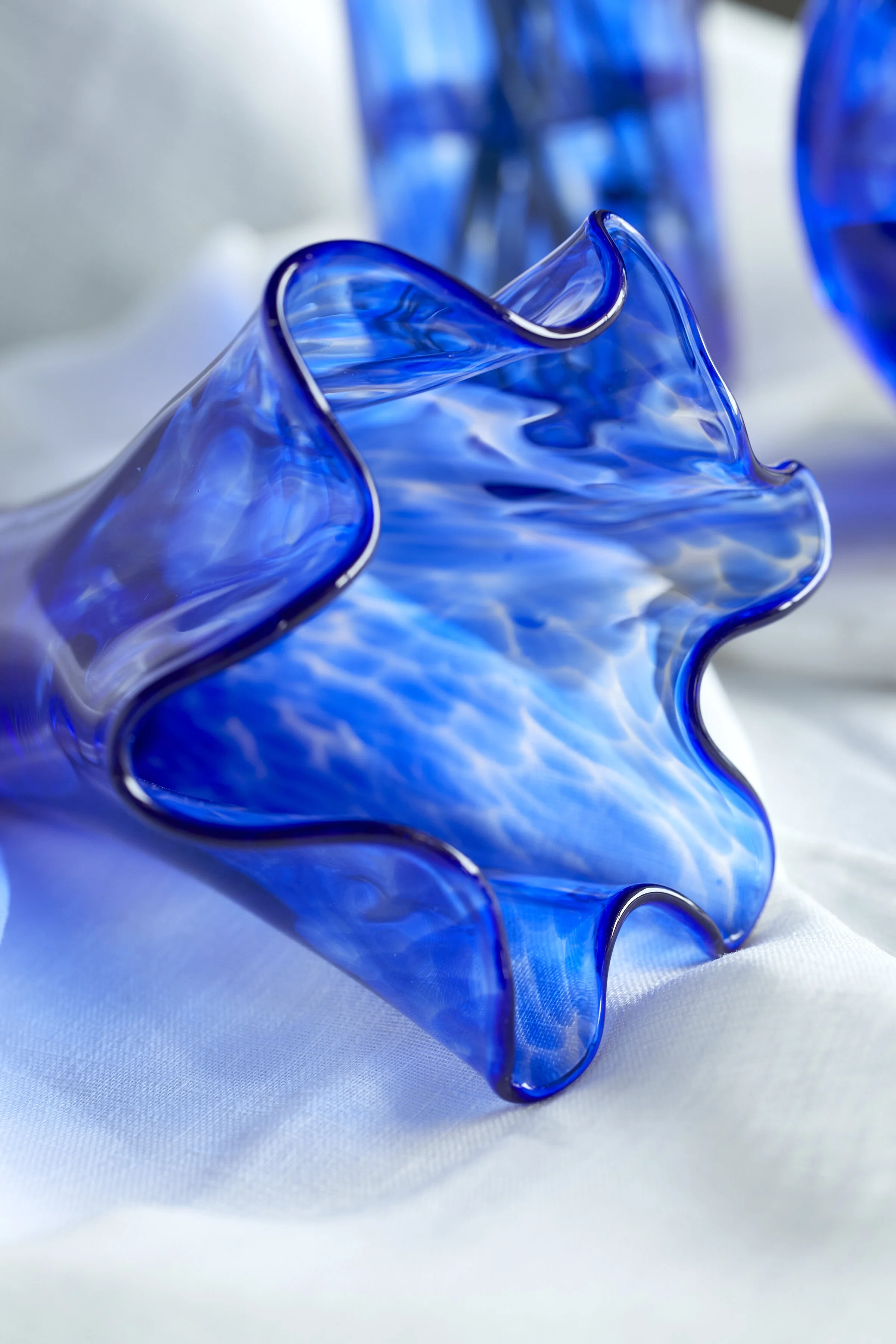 BlueRose_Collection2_ 100.jpg
