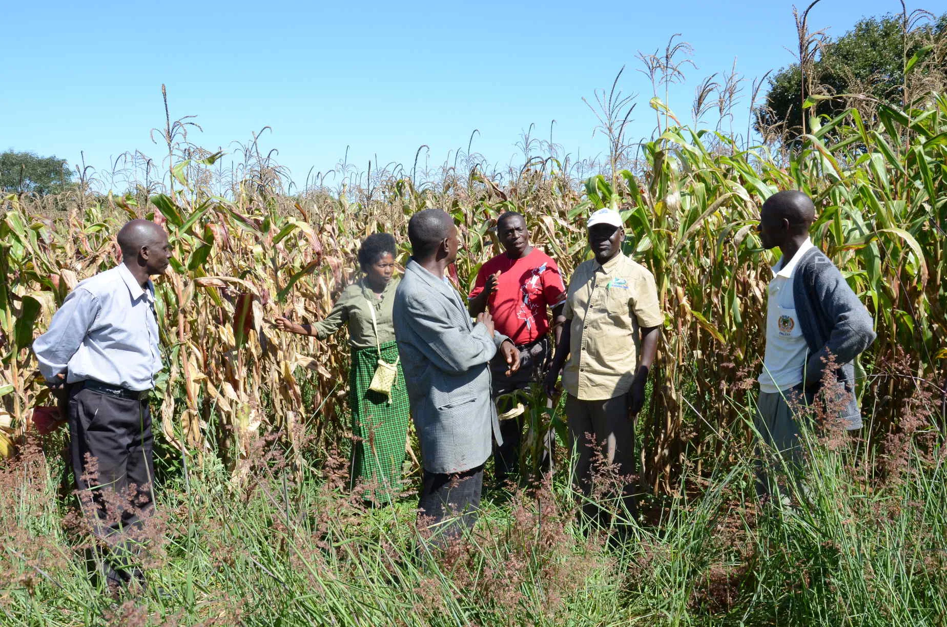 Farming Project in Serenje