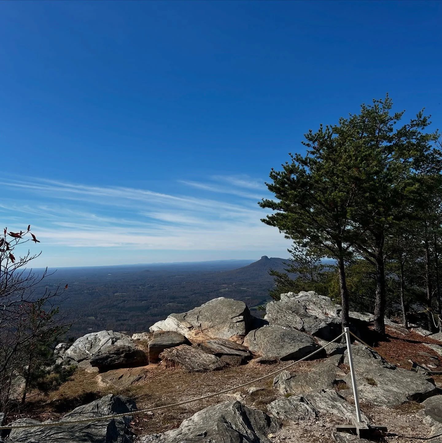 yooohooo, it&rsquo;s us again. Just wanted to pop in with a reminder that the early early bird special is up, so now the early bird special is in play for $55 until September 1st!! You can still save $10!!! (also keep an eye out for a giveaway coming