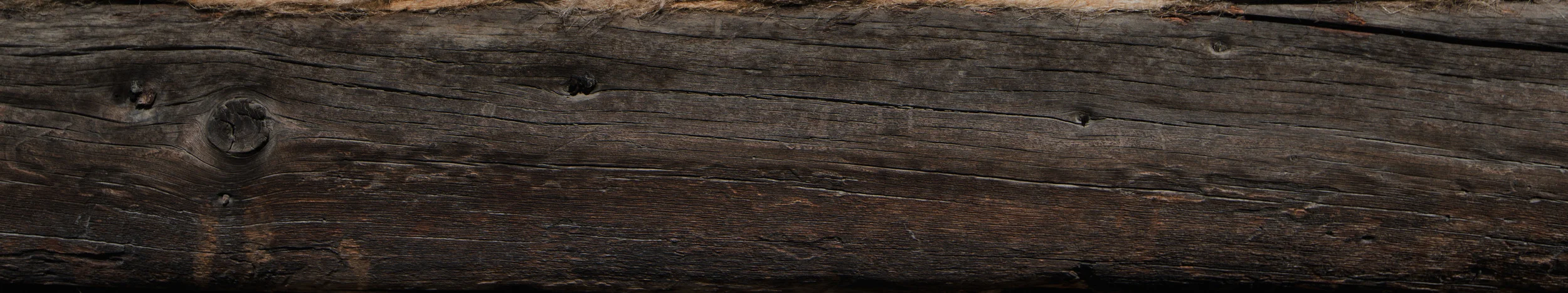 News-banner_web.jpg