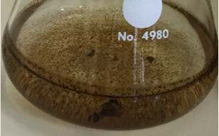Plectosphaerella cucumerina DS2psM2a2 + 0.2 mM Mn2+