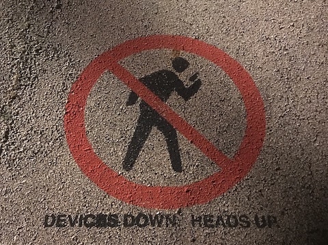 New signage on the sidewalk at the APS. Applies to life in general. It may or may not be my new computer background...
