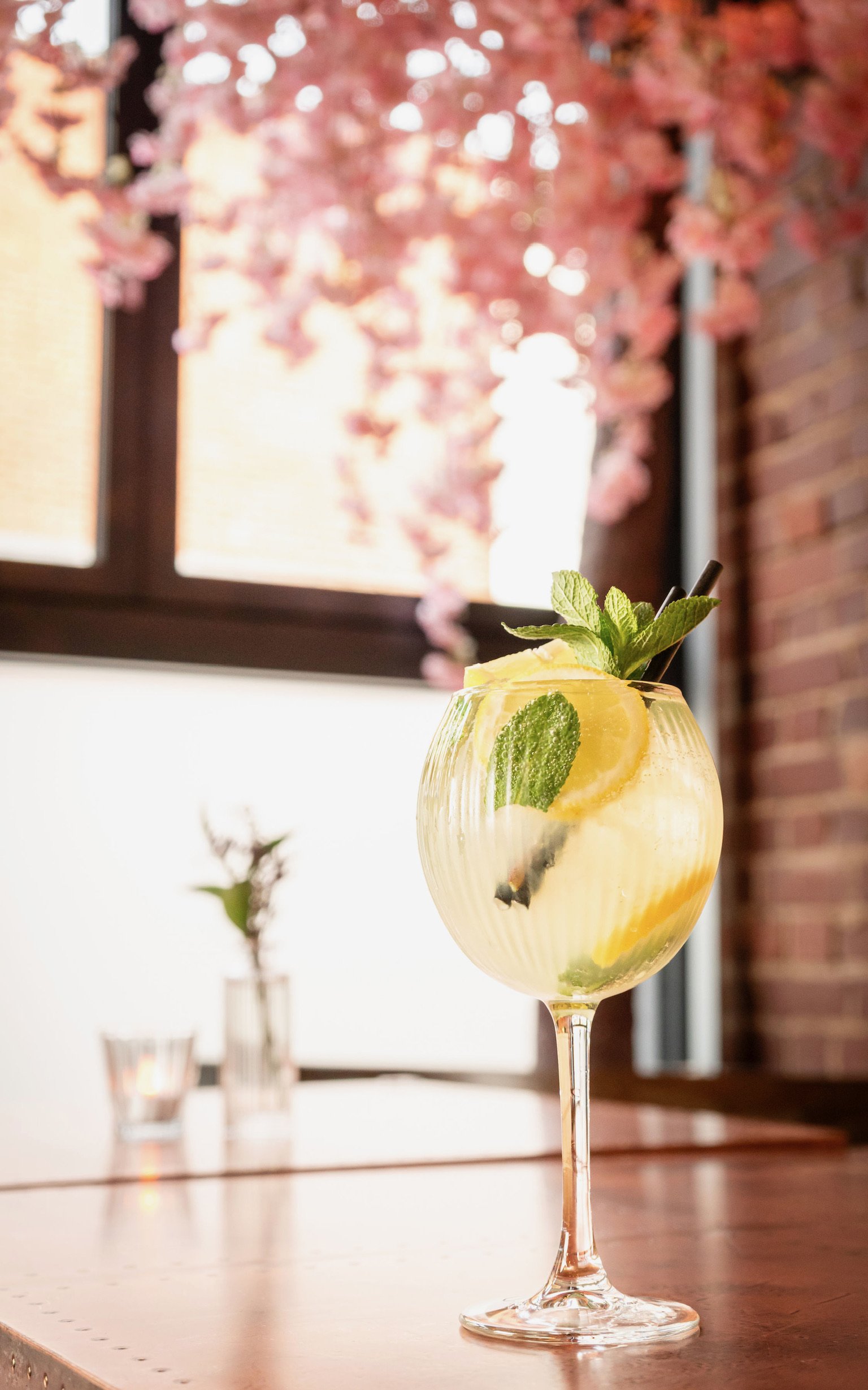 Mintsummercocktailsfinaledits-6 3.JPG