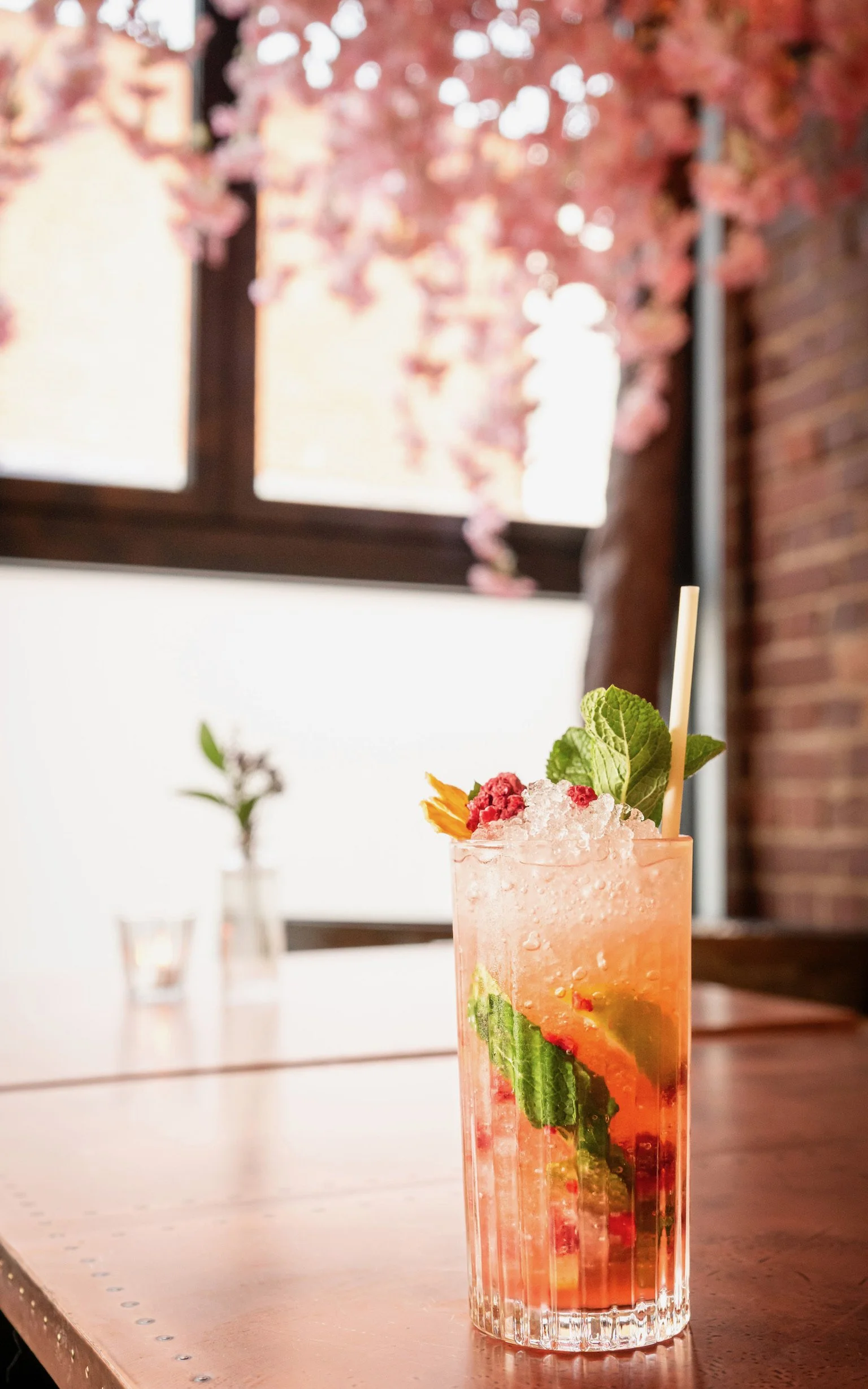 Mintsummercocktailsfinaledits-8 3.JPG