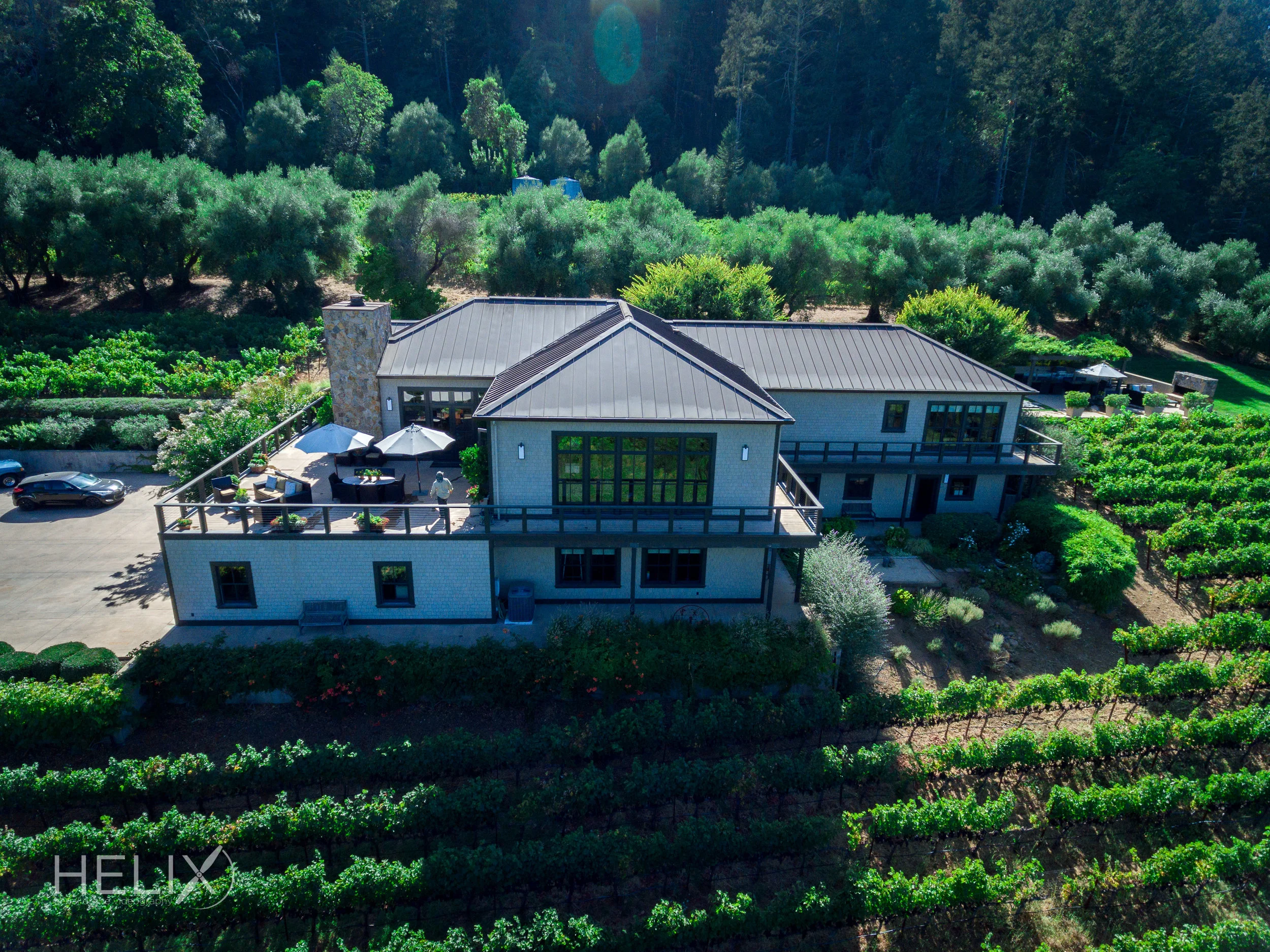 *Sabina Vineyards