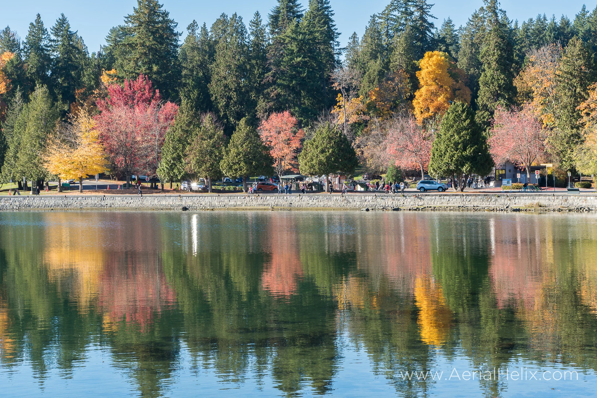 Rylyn Vancouver-52.jpg