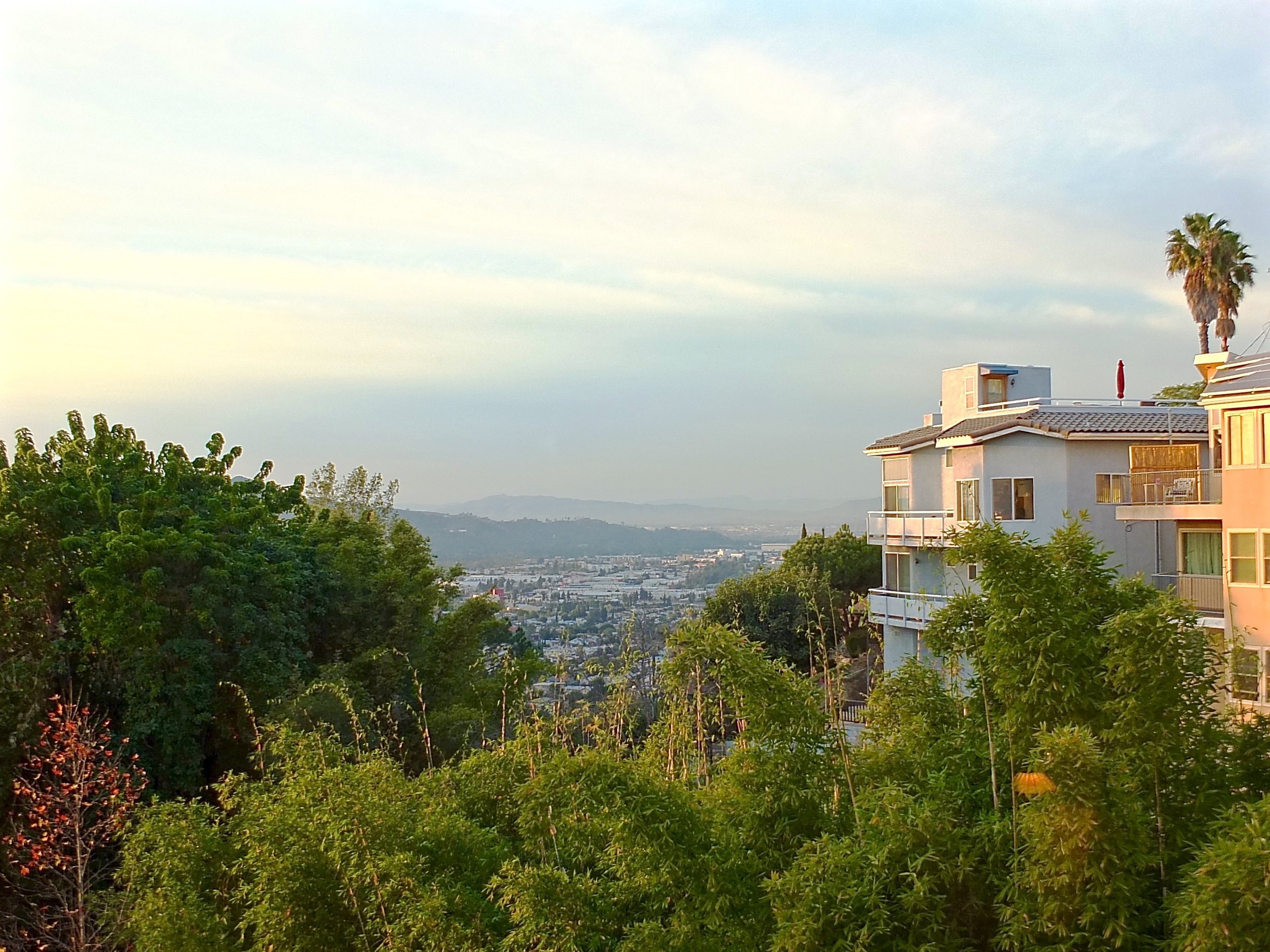 DSCF8824.jpg