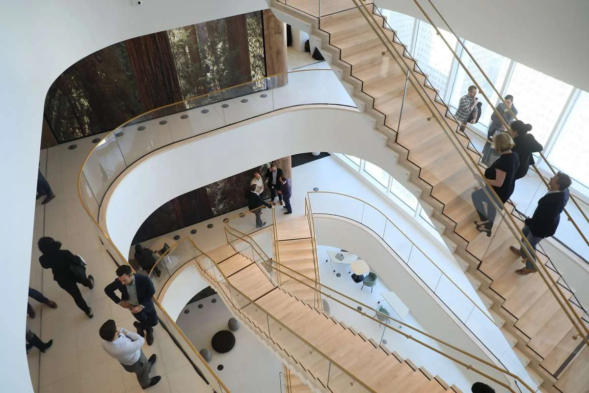 gallery_xlarge.jpg