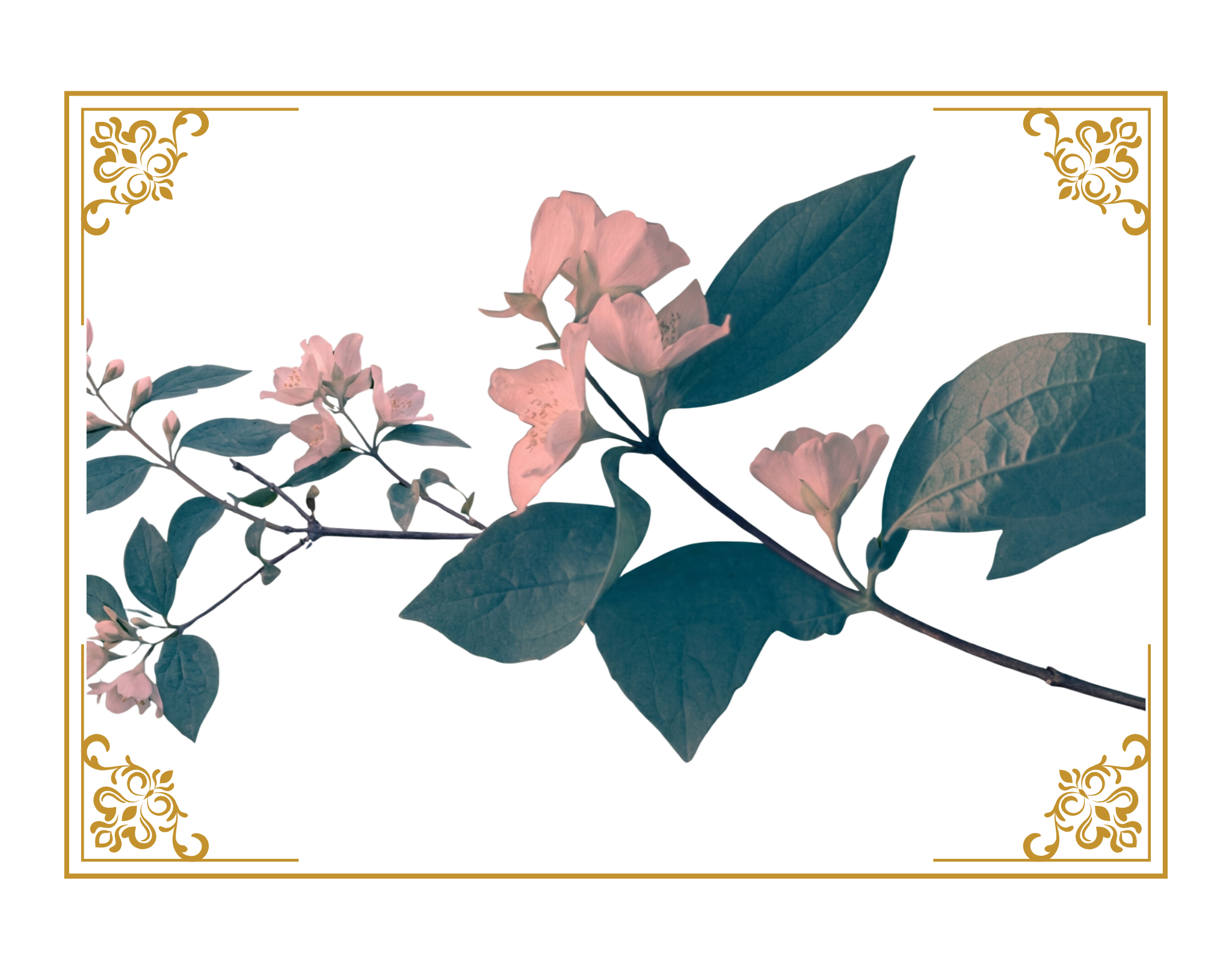 Flowers on a vine with a golden filigree frame.