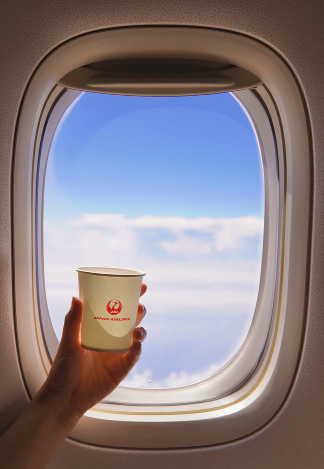 JAL、12月にダラス〜名古屋便の臨時便を運航【2日間】