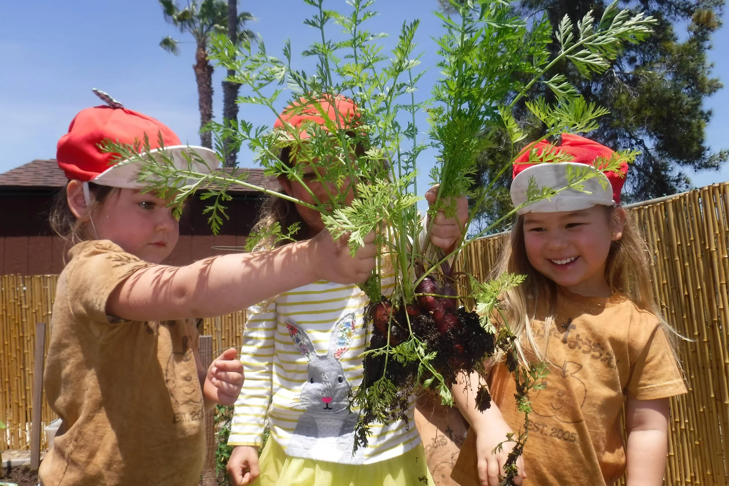 テキサス・プレイノ園で第一期園児募集中、料金改定のお知らせ