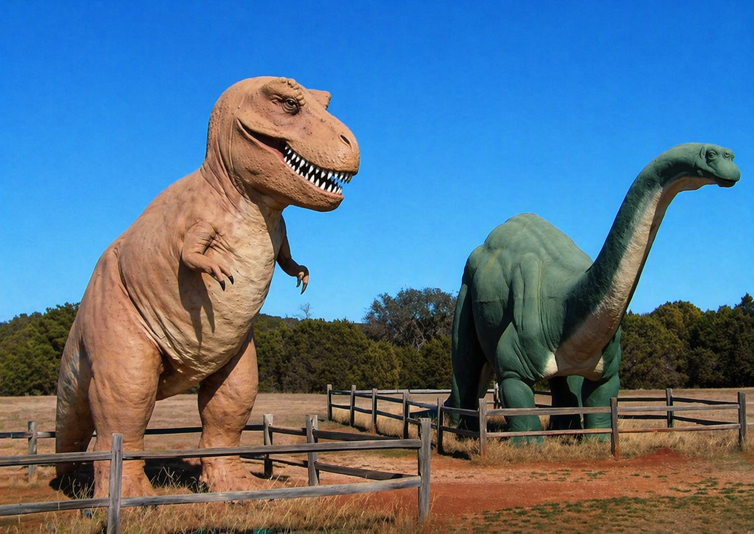 ダラスで行く「恐竜公園キャンプ」完全ガイド【Dinosaur Valley State Park】