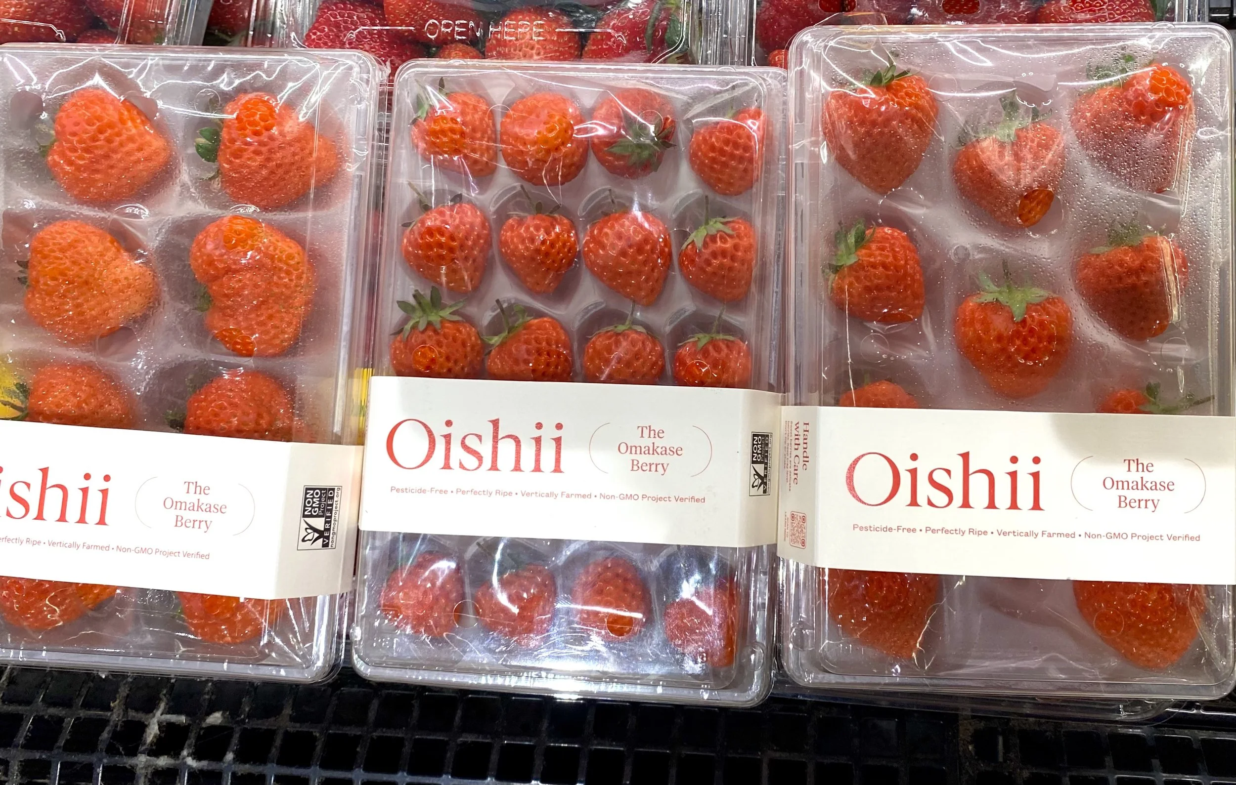 革新的ないちご栽培で注目の「Oishii Farm」: ダラスで体験する高級 革新的ないちご栽培で注目の「Oishii Farm」: ダラスで体験する高級