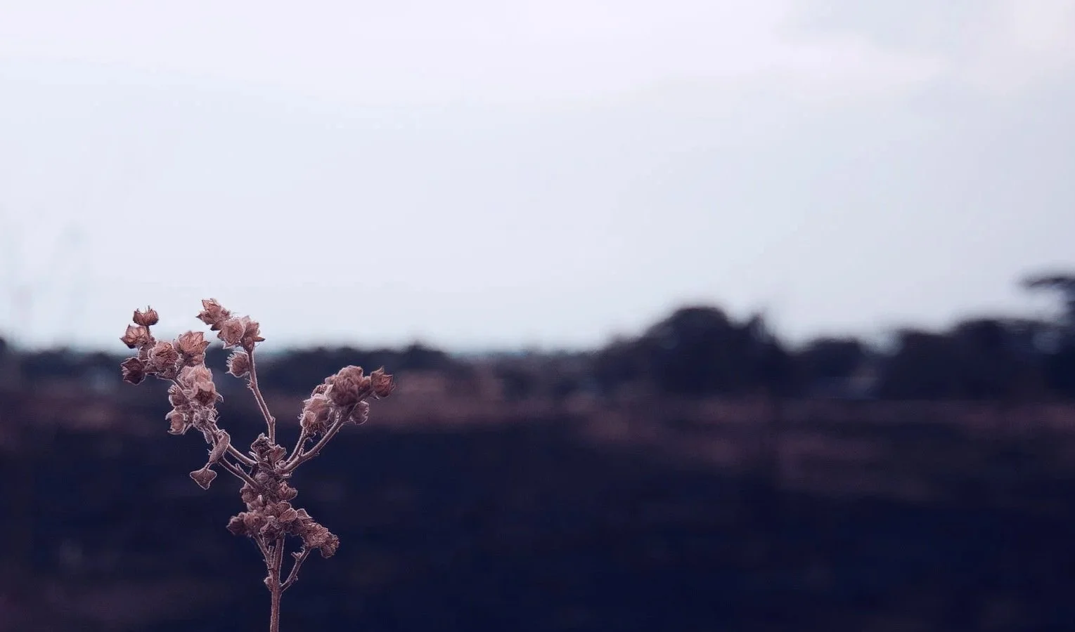 A Beautiful Life Awaits You.jpg